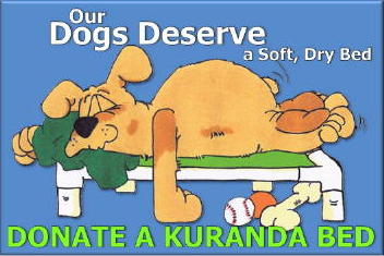 DeservingDog.jpg