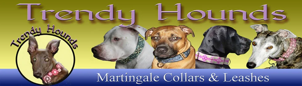 THbannerLogo.jpg