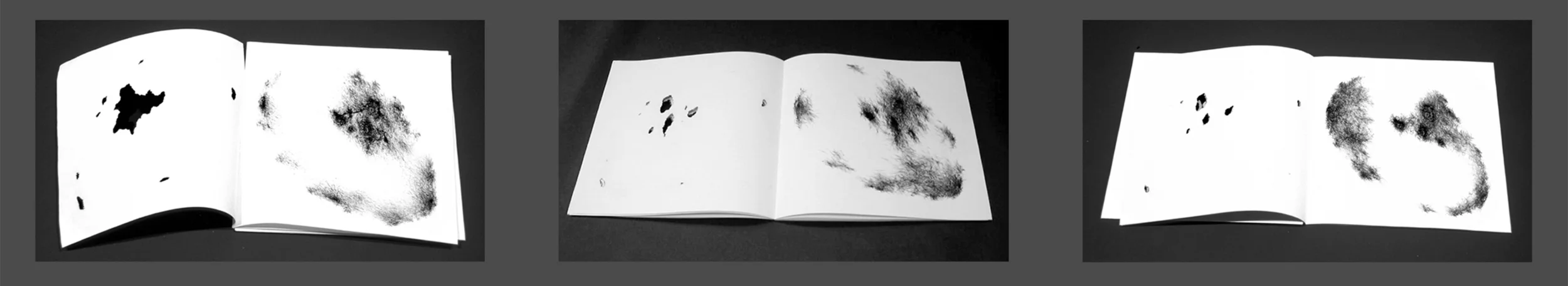 Self-portraits of the self-portrait
