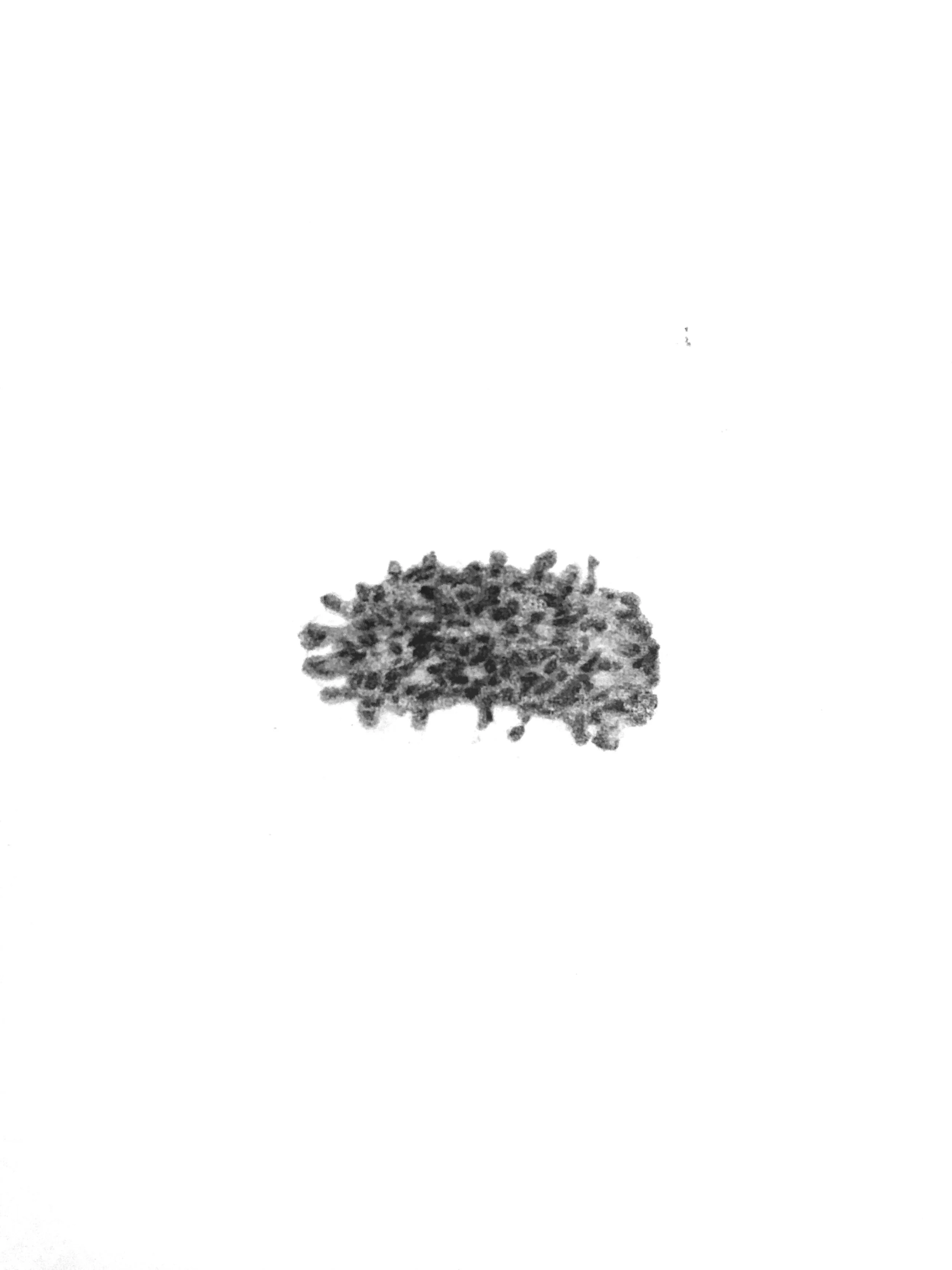 200 Cells, 2015