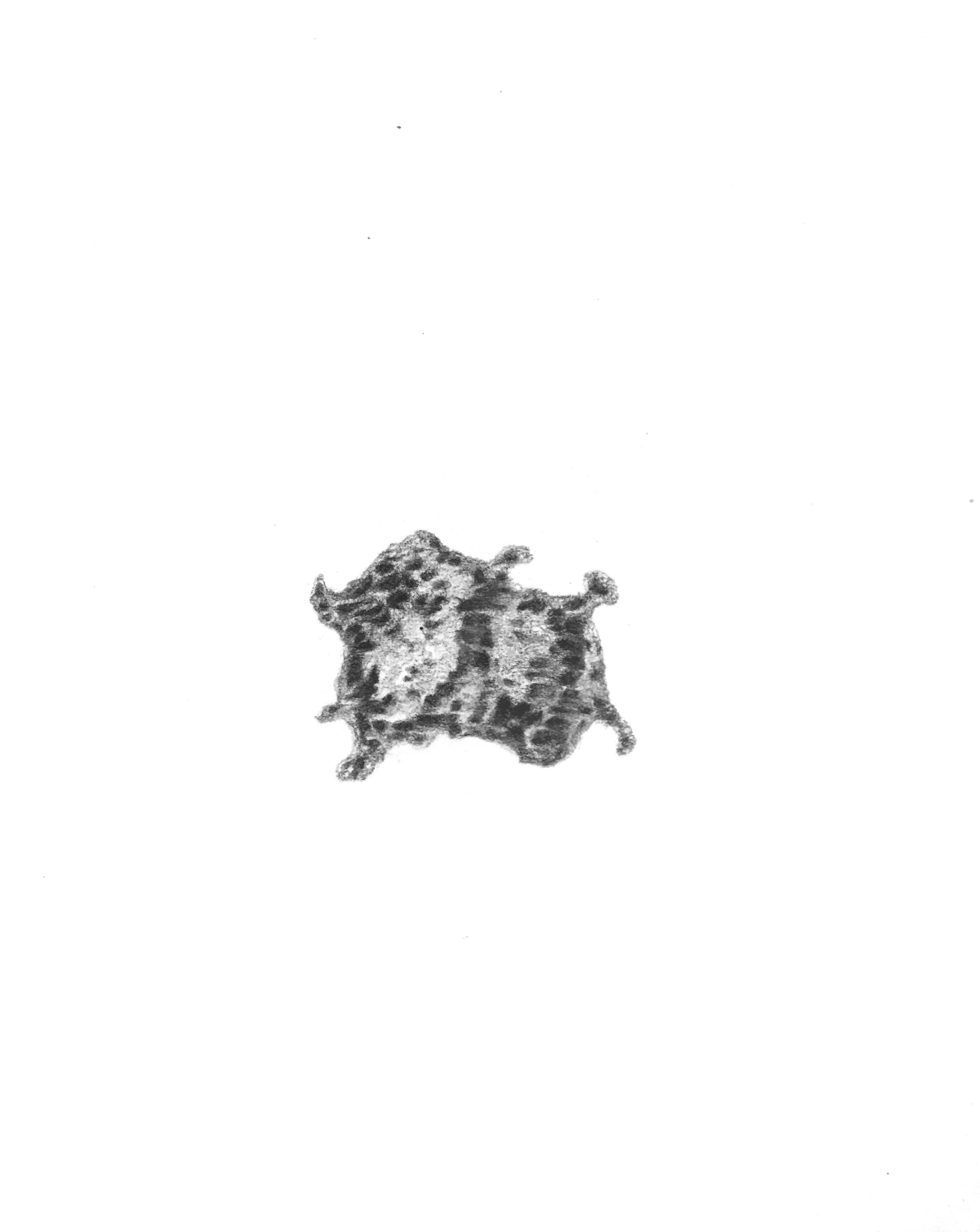 200 Cells, 2015