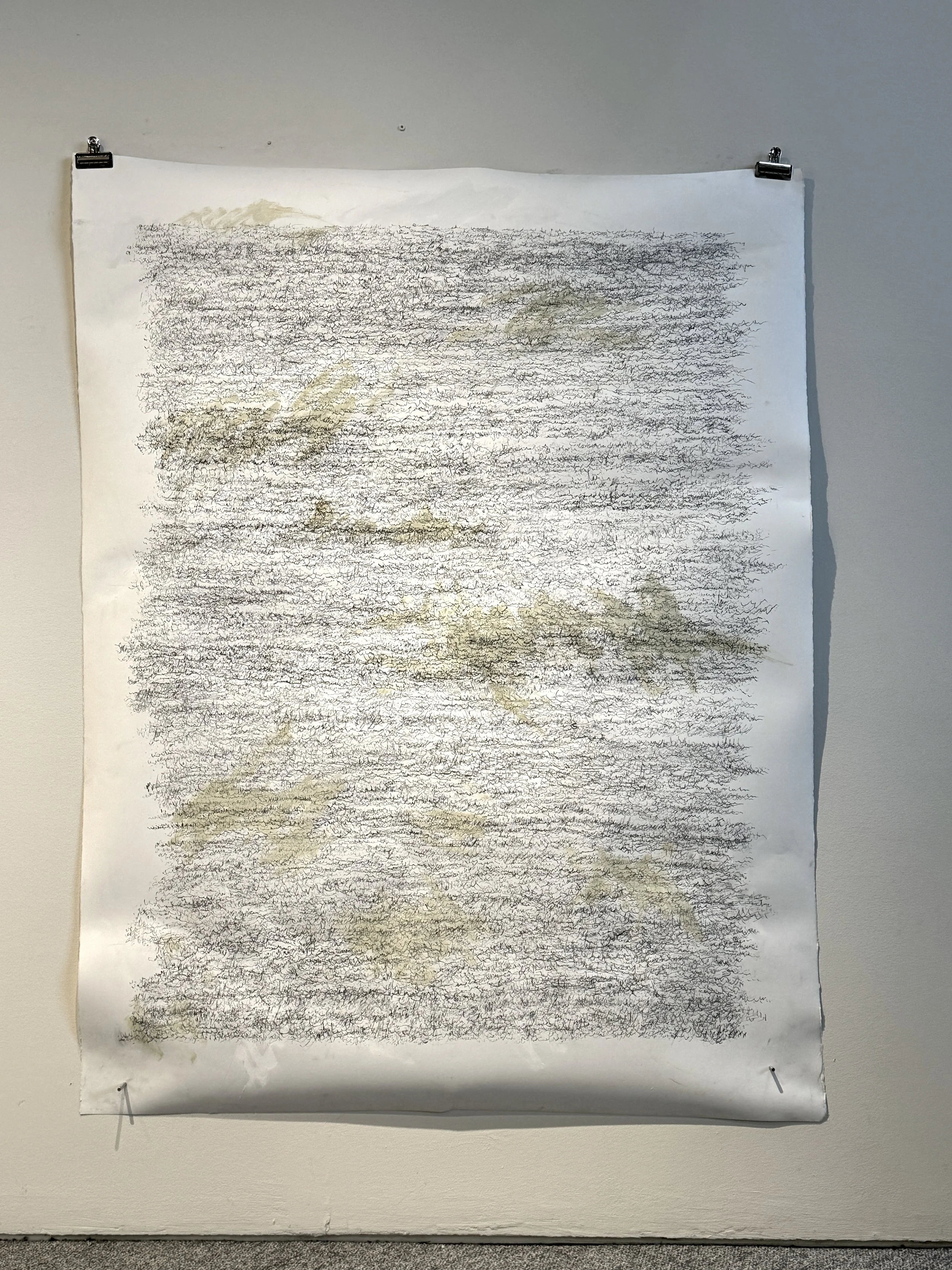 Probability, States of Information, 2026