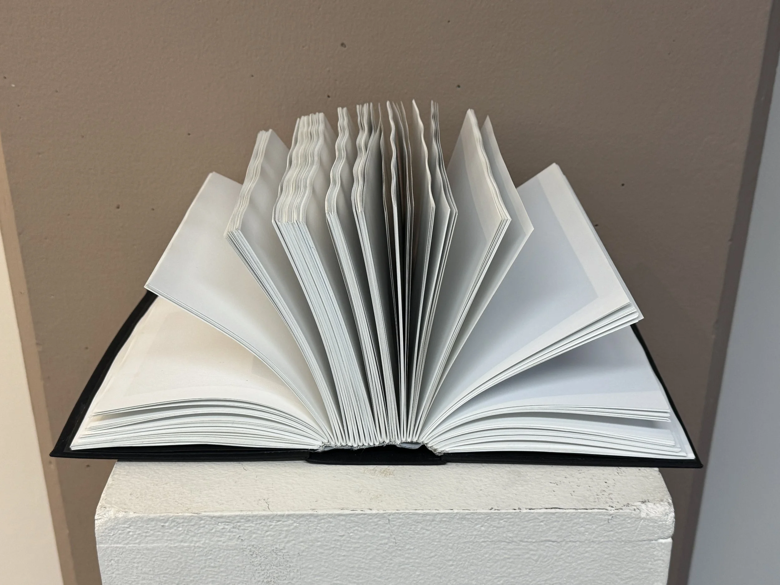 Book of Knowledge, 1,000 pages, 500,000 bits of mark information