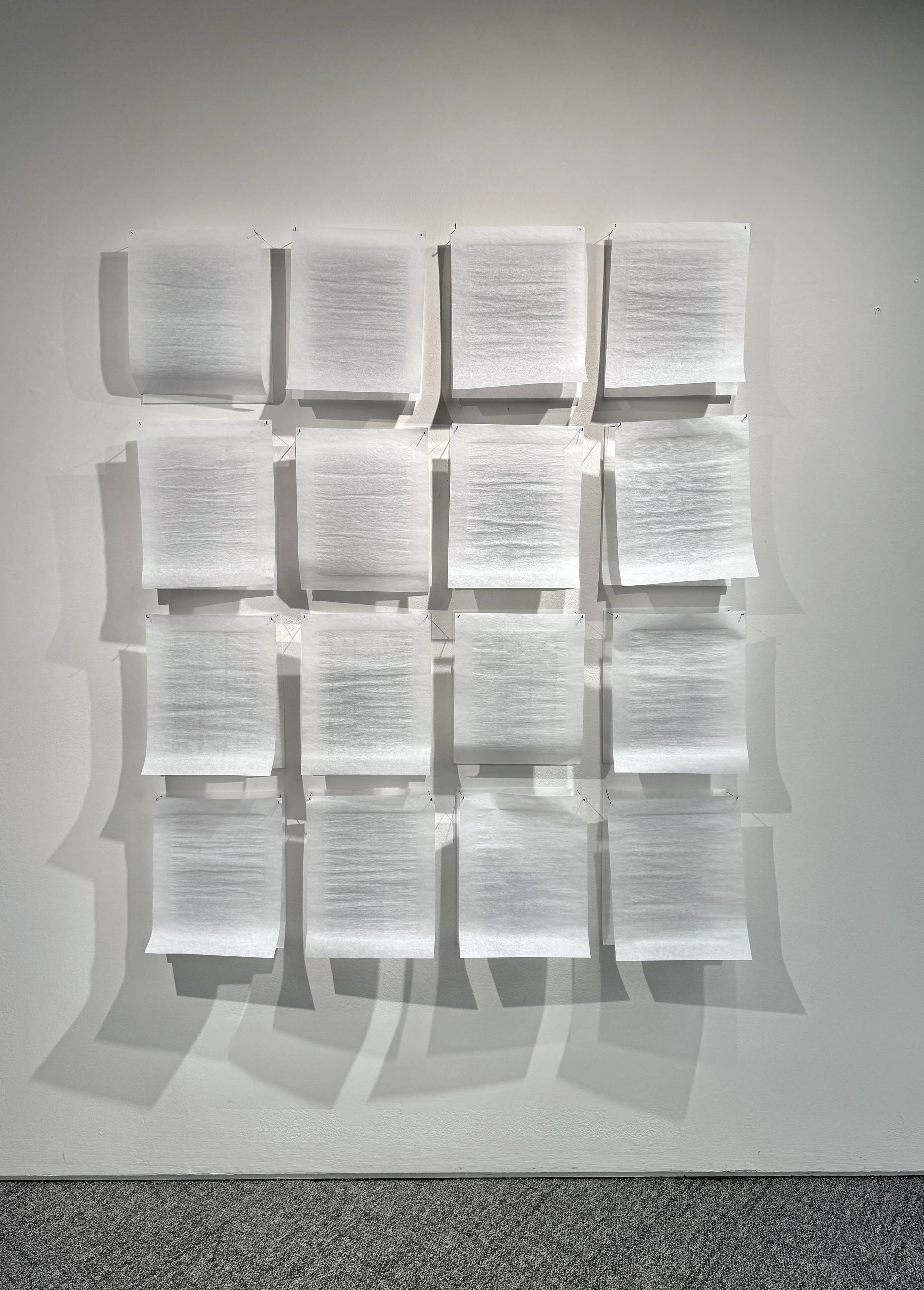 Hidden Perceptions I, 2026