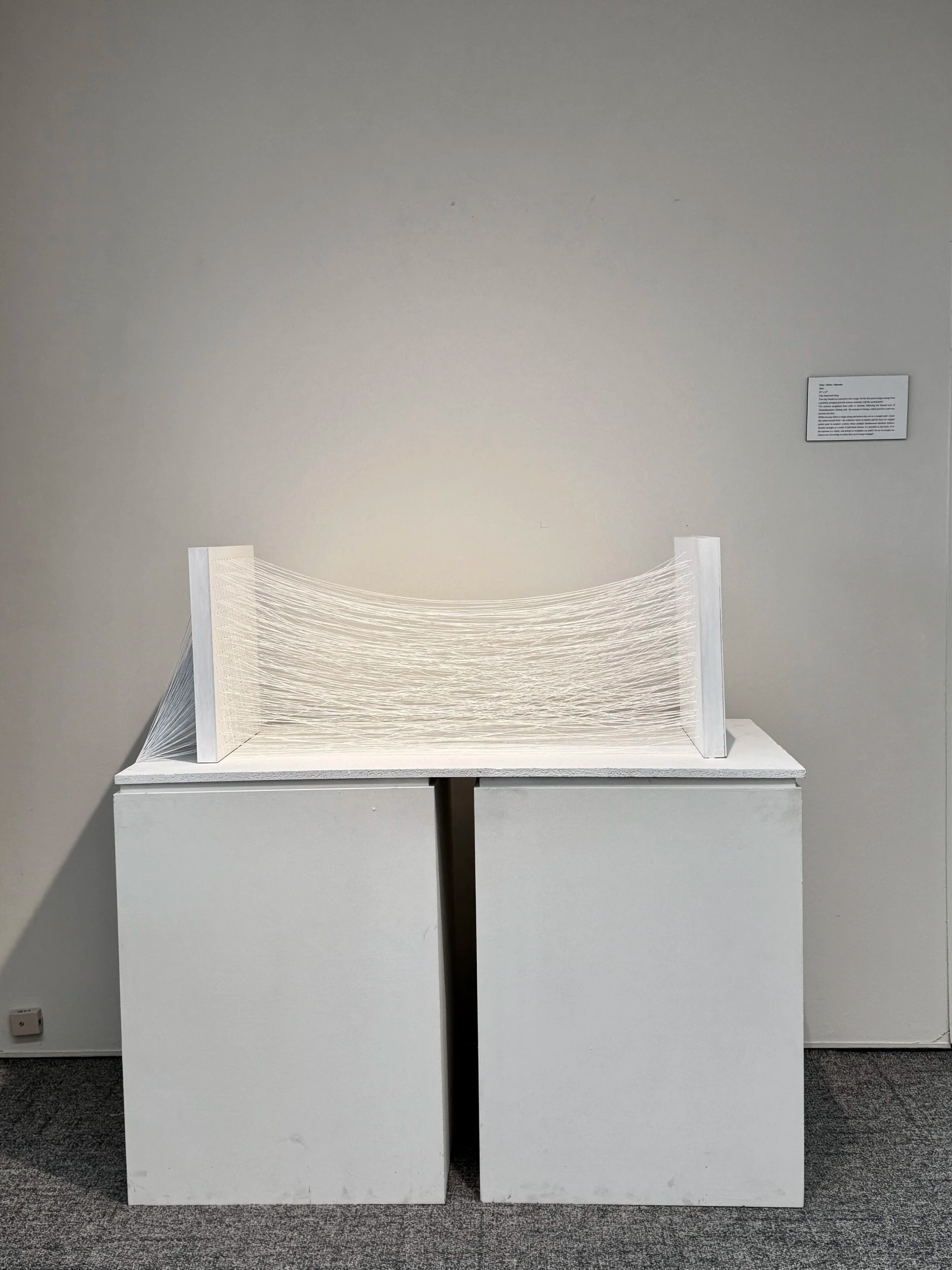 Time : Order : Disorder, 2026