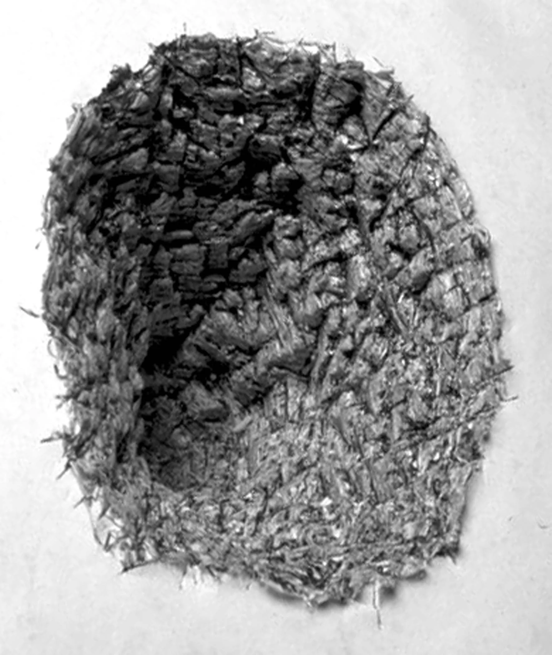 selfportrait II d.jpg