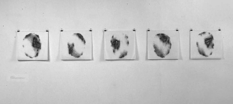 Hole-Portraits, 2002 