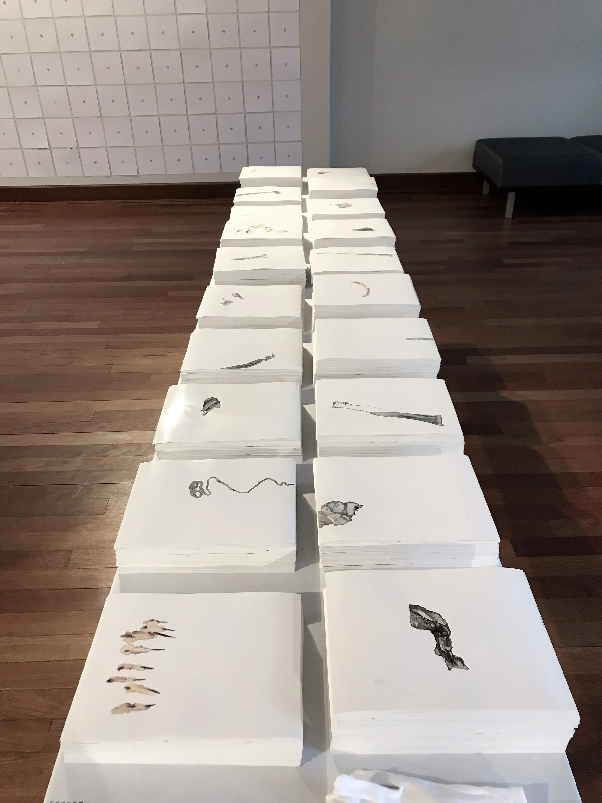 Body Drawing, 2008 