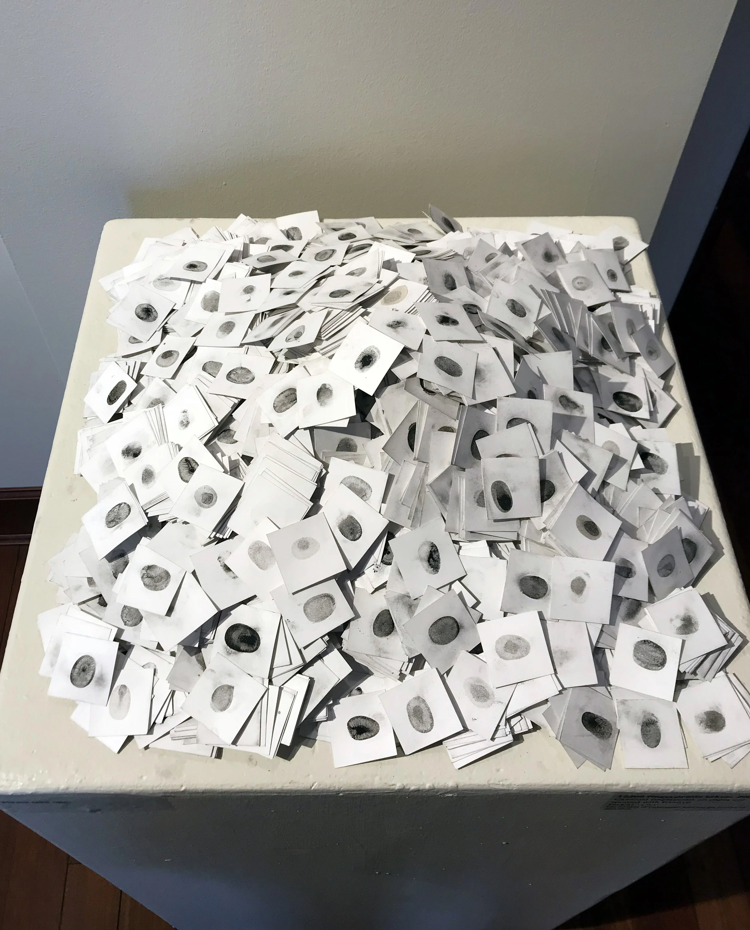 12,200 Fingerprints Taken, 2009 