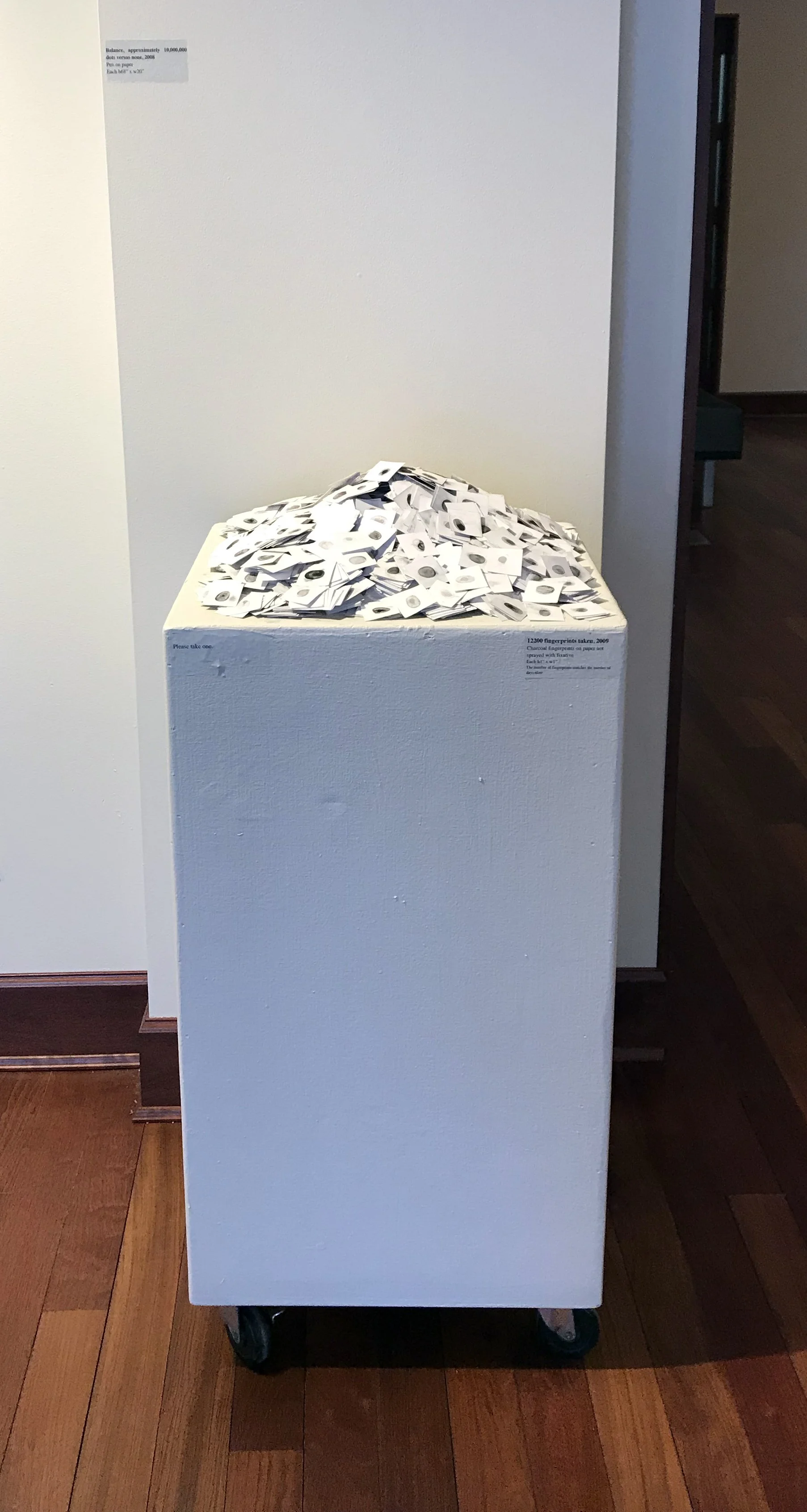12,200 Fingerprints Taken, 2009 