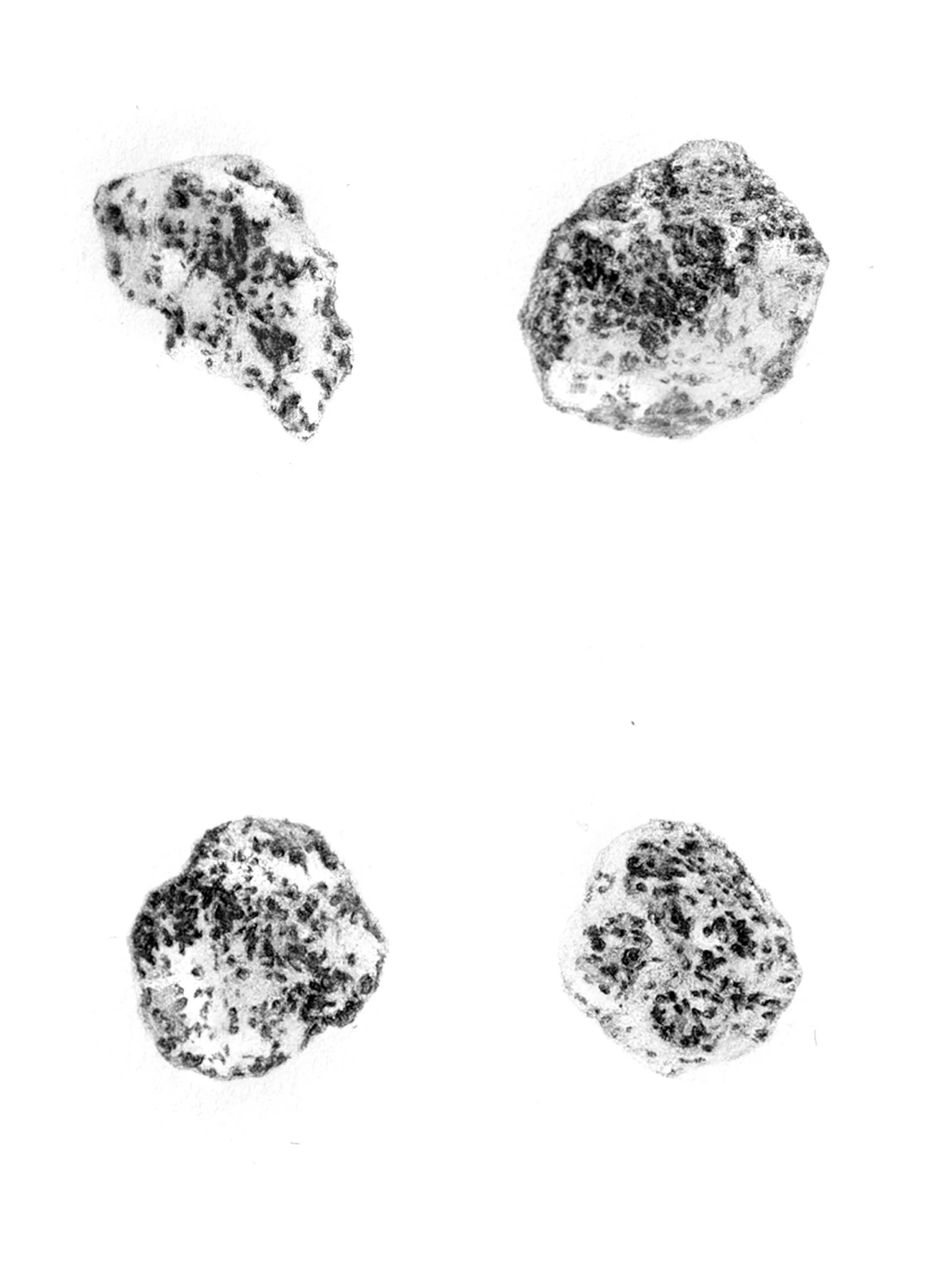 200 Cells, 2015