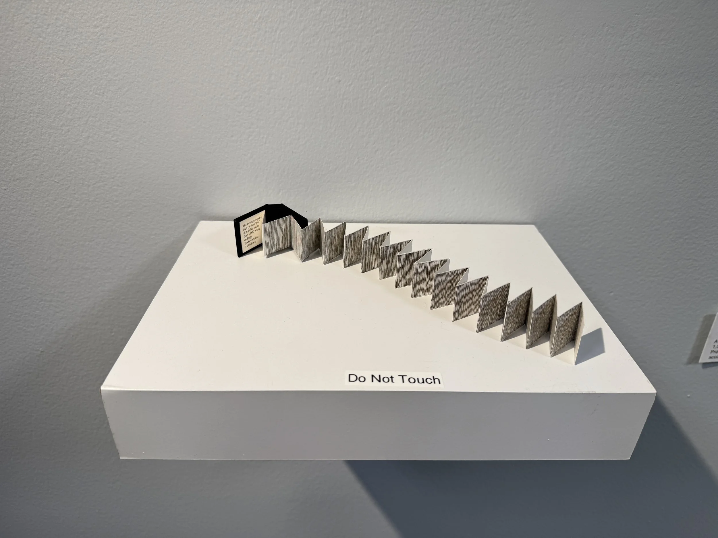 1,000 Nerve Endings, 2015