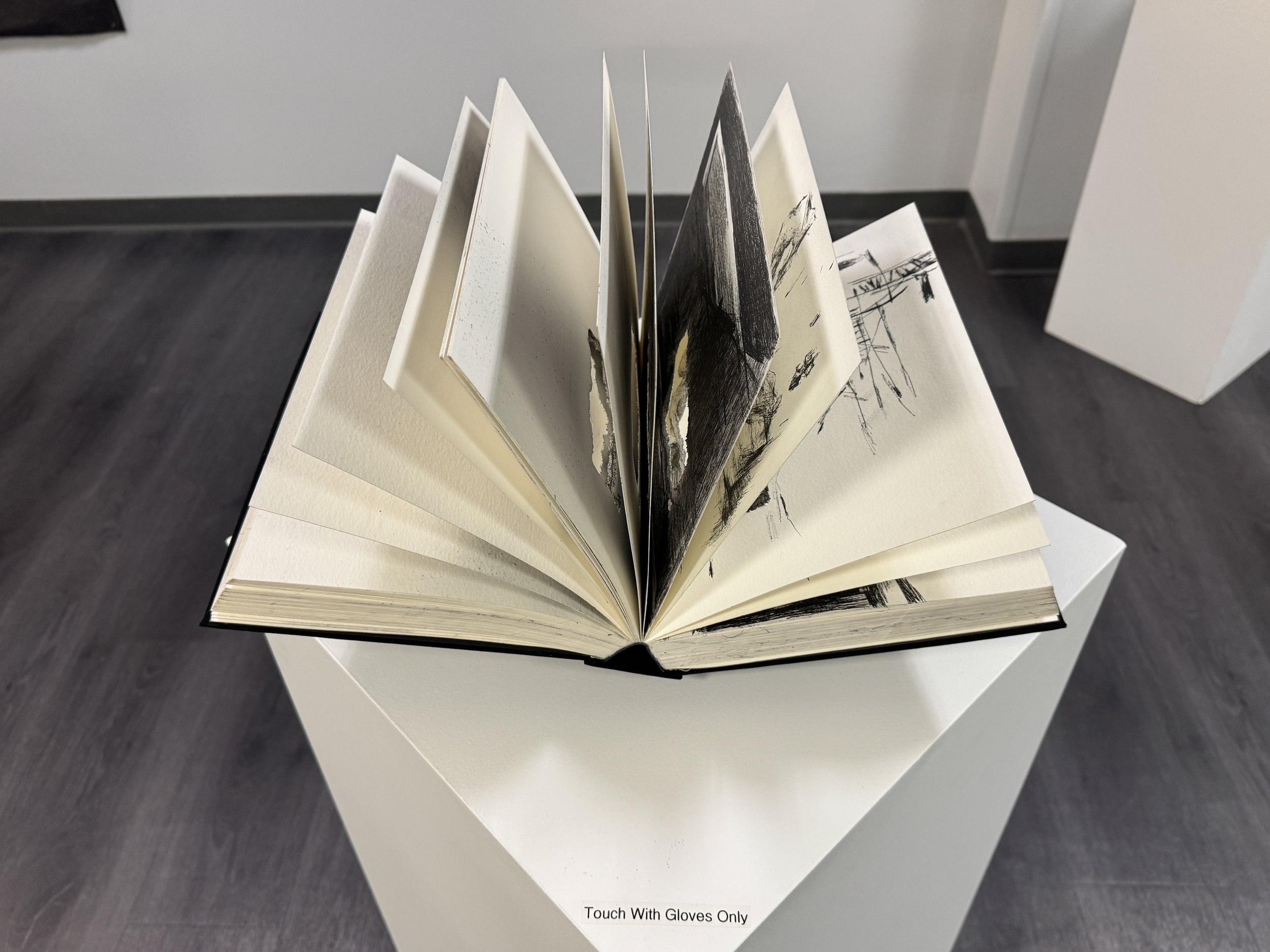 Experiences, 2003