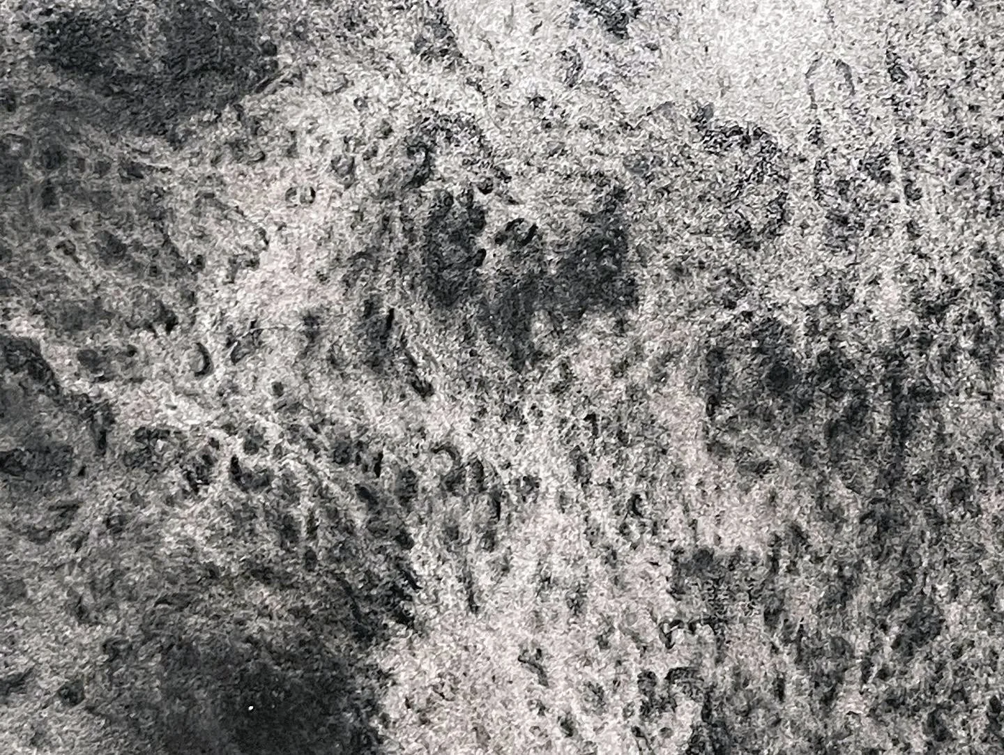 BA02A79F-0427-4239-8596-6C54D82336A0.JPG