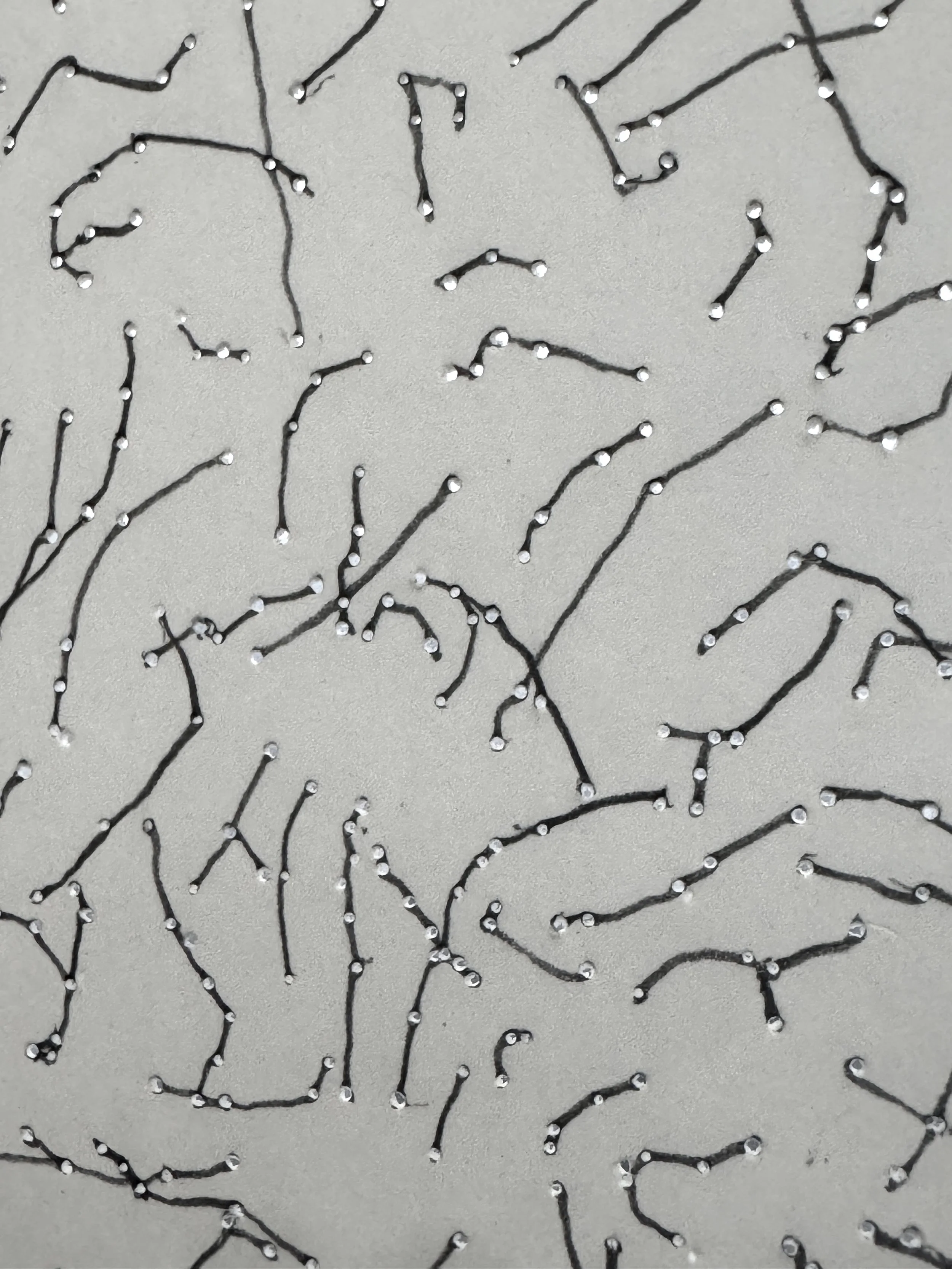 Randomness : Determinism, 2025
