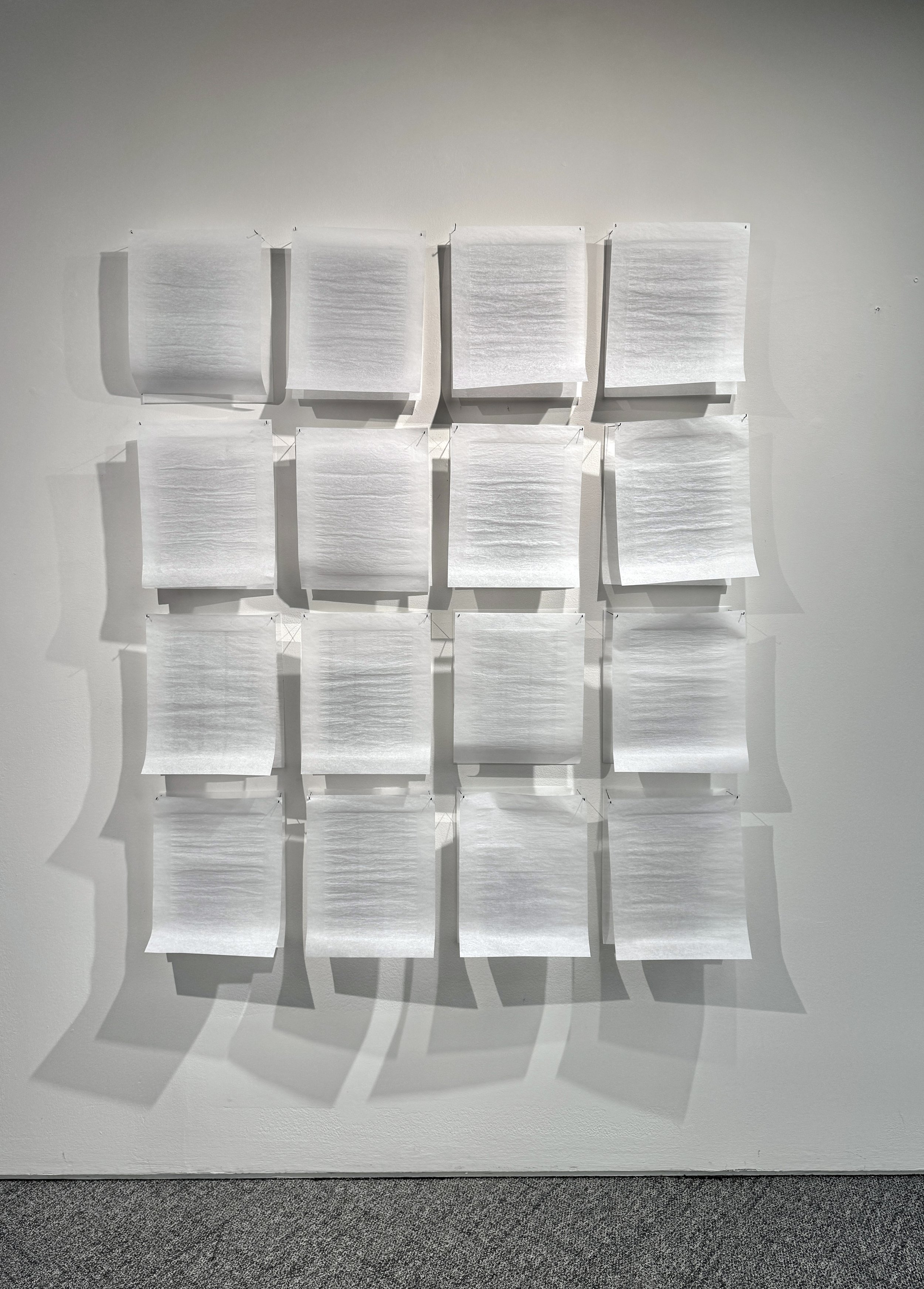 Hidden Perceptions I, 2025