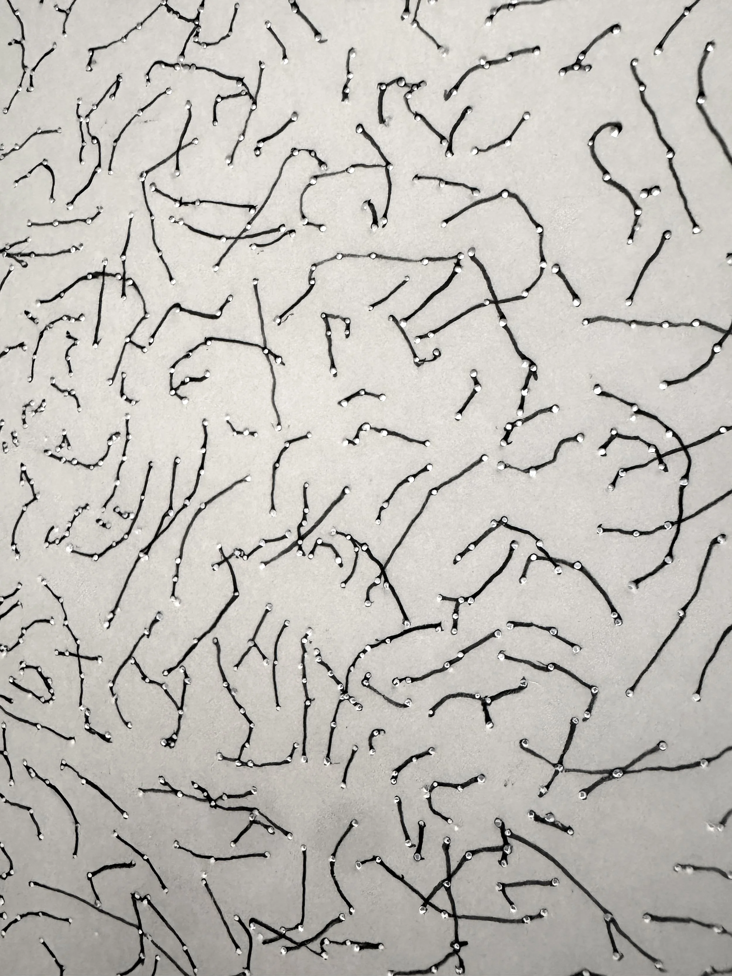 Randomness : Determinism, 2025