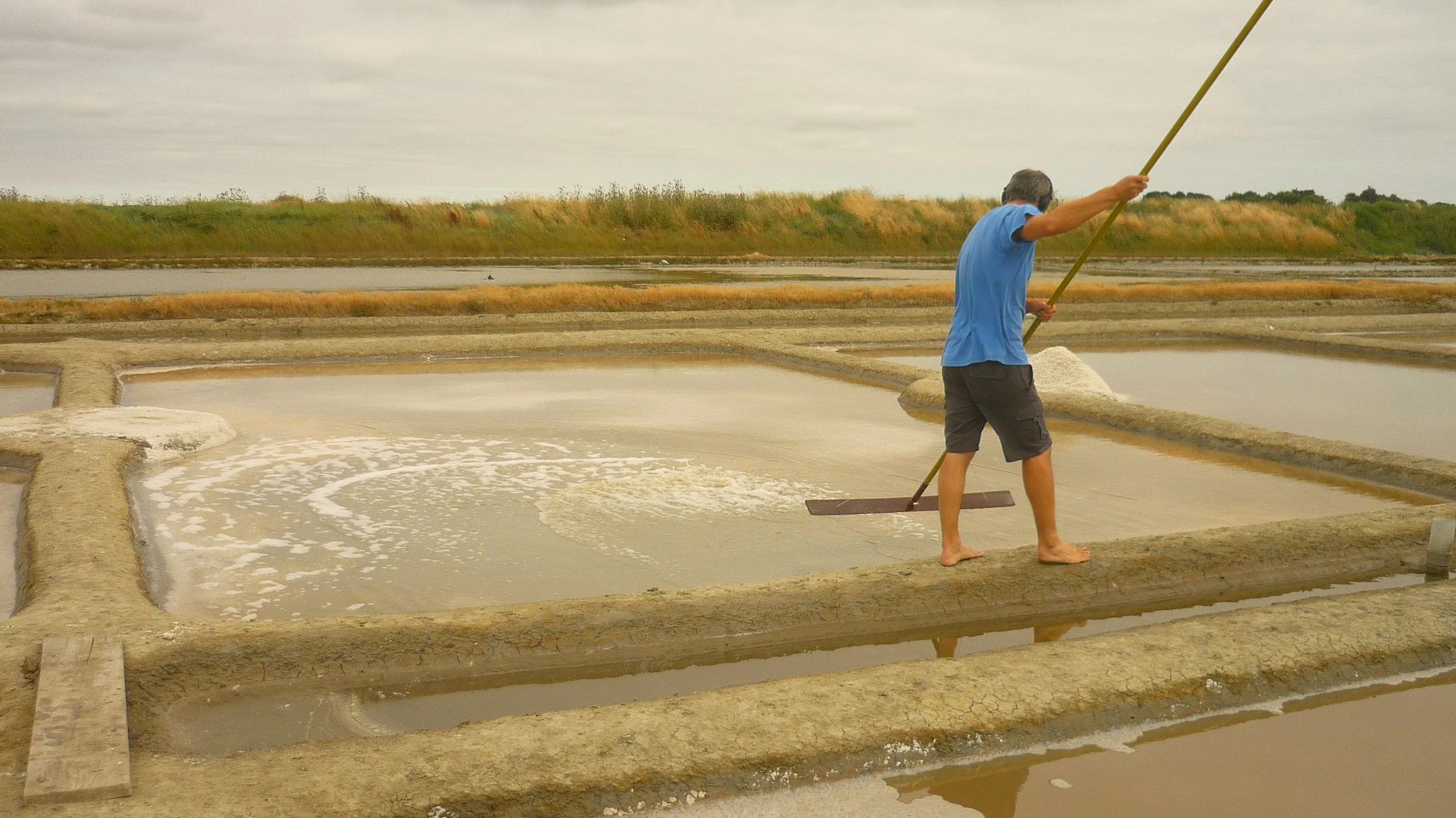 Hand-Harvest French Sea Salt.JPG