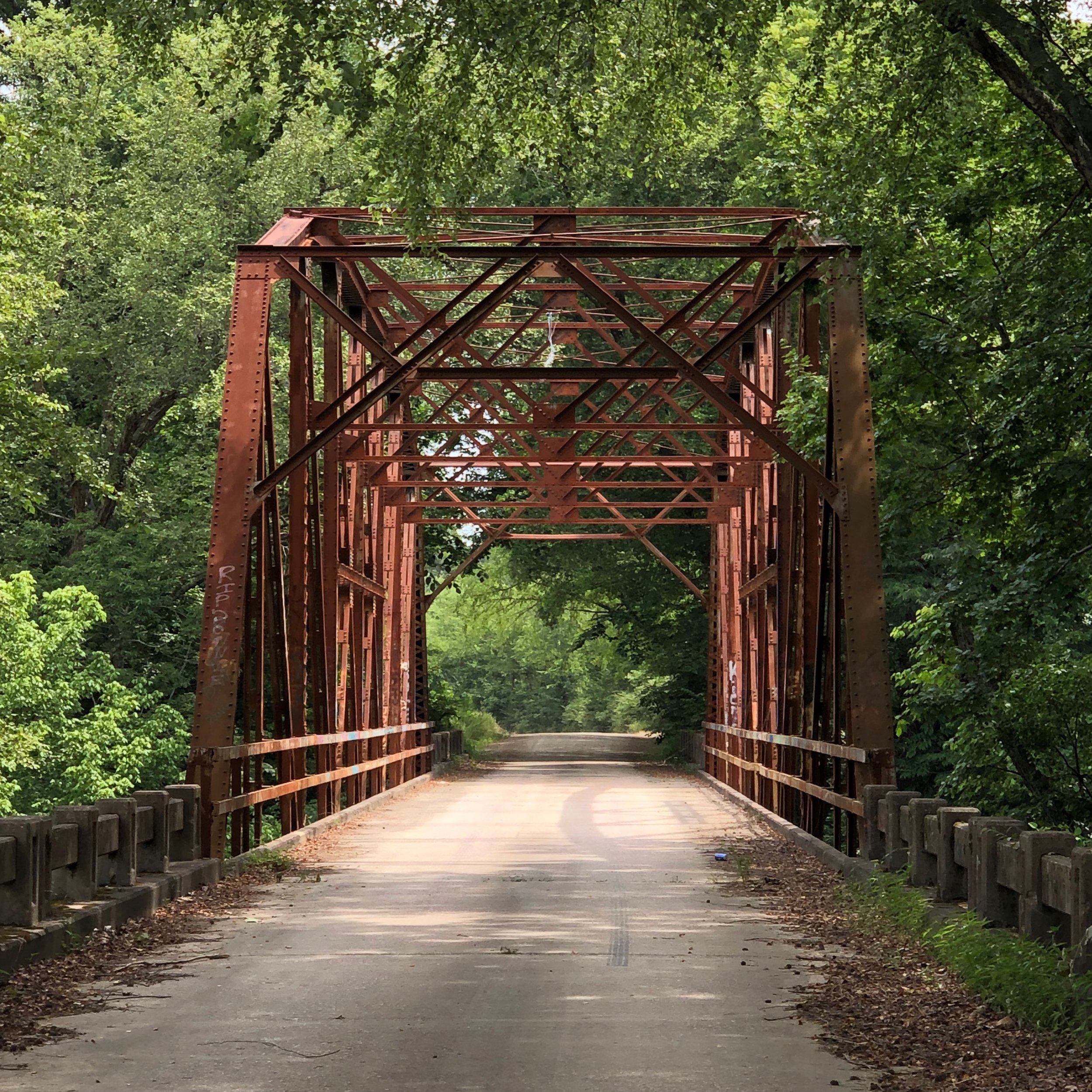 A rust-red iron truss bridge framed by green trees