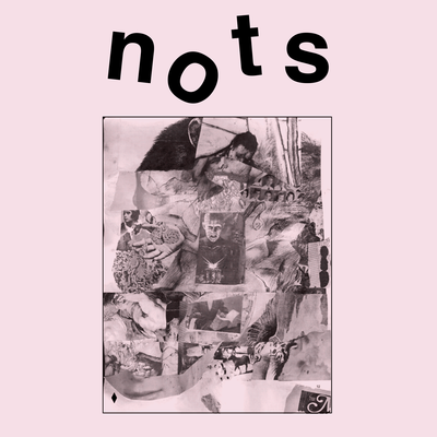 Nots, We Are Nots