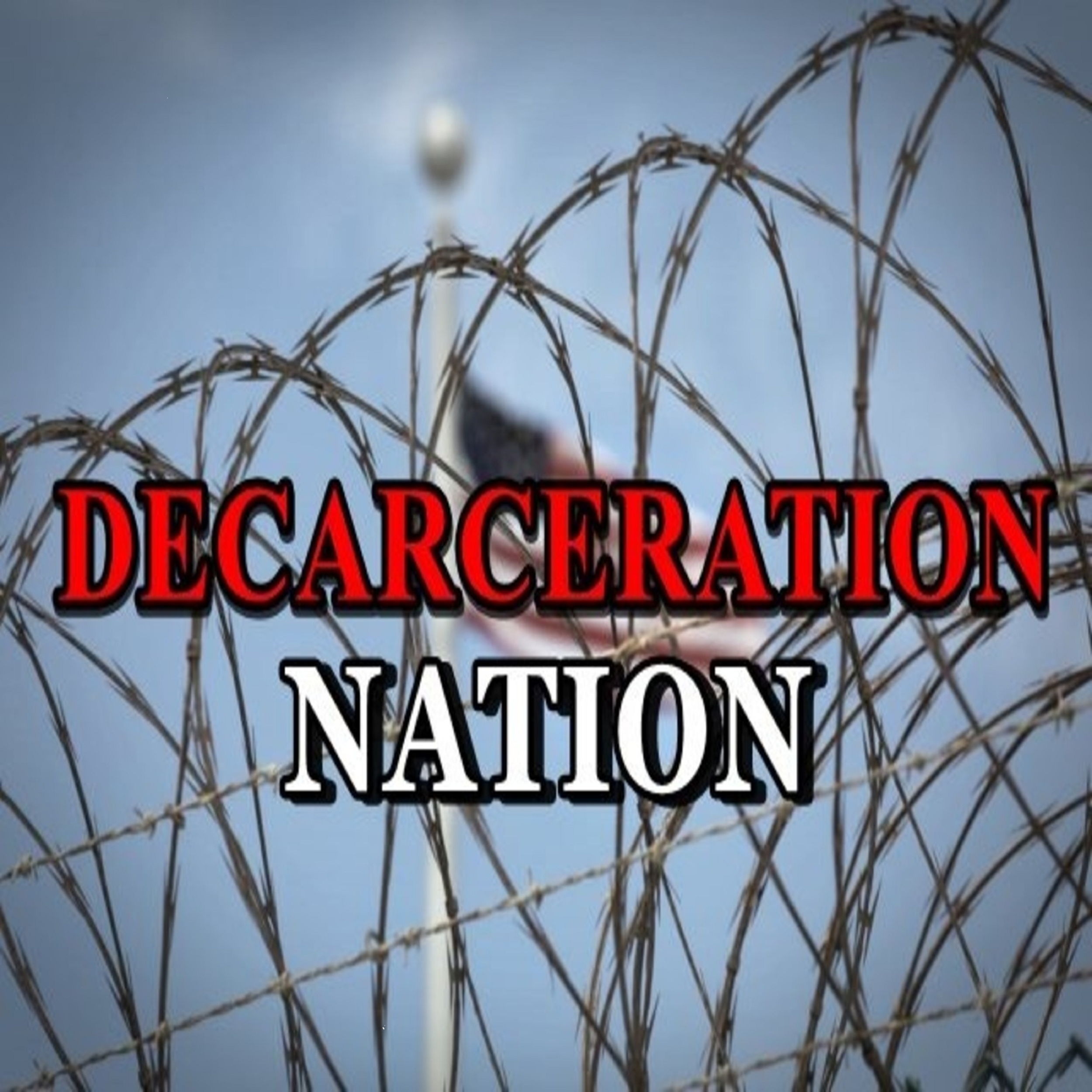 Decarceration Nation (with Josh and Joel) Episode 7 "Indigent Defense"