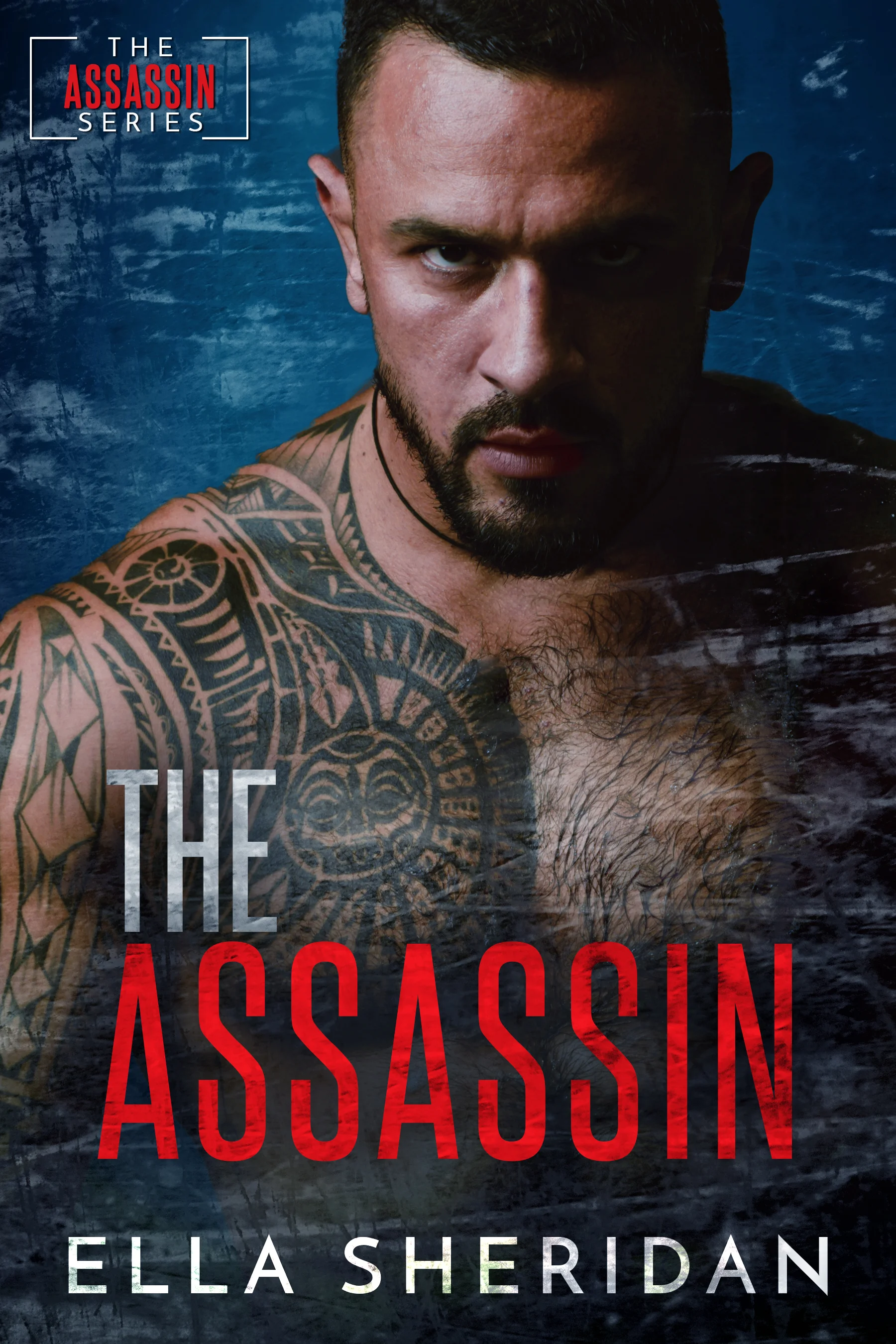 THE ASSASSIN.jpg