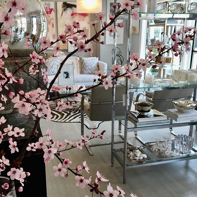 🌸foraged cherry blossom🌸
could there be anything prettier?? Fresh flowers at Swoon always....
Ps please forgive me if it was your tree I snipped these from🙊
 #foraged=stolen #notsorry 
#swoonworthy #cherryblossom #cherrypink #springishere #swoonwo
