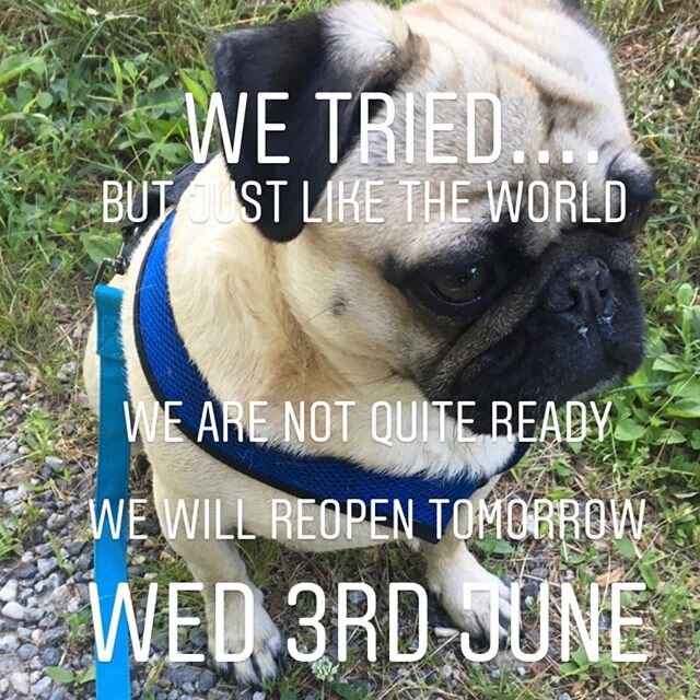 💚See you tomorrow 💚 
Swoon reopening Wed 3rd June at 11 am...
#gettingthere #reopening #awaystogo #swoonwestport #smallbusiness #gallery #antiques #vintagestyle #oneofakind #interiordesign #homedecor #homefurnishings #modernart #contemporaryart #ab