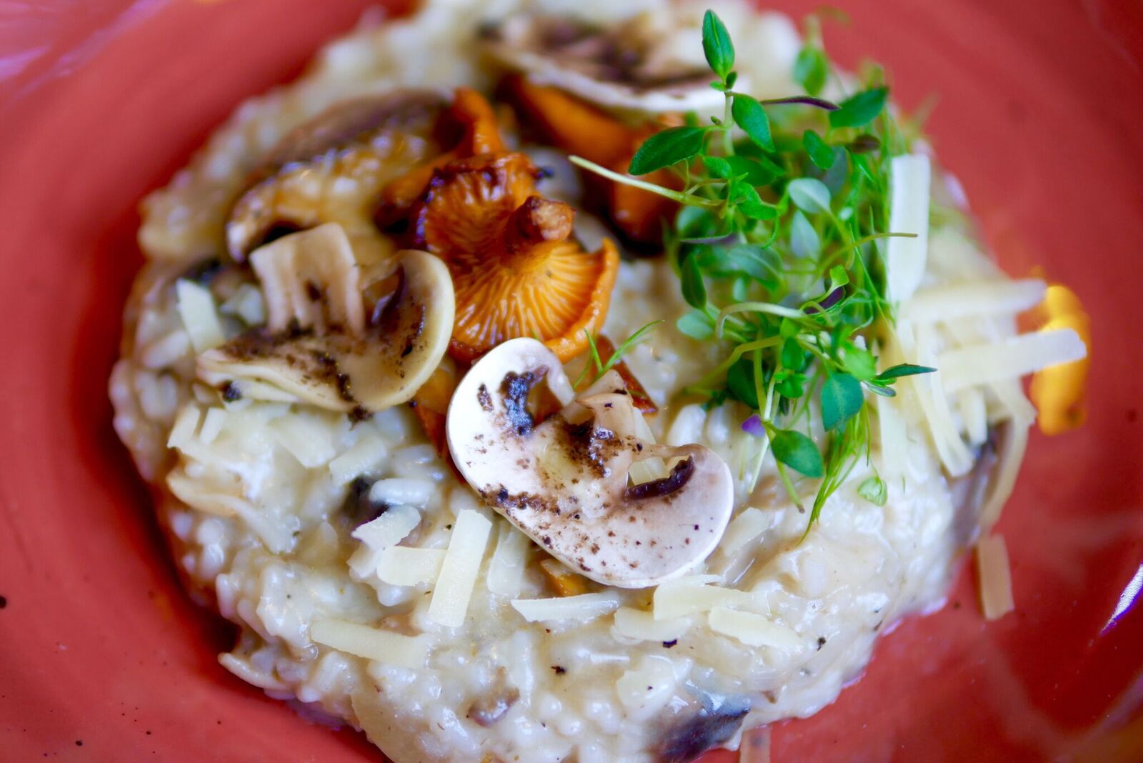 .... Seene risoto 9,5€ Metsaseened / Parmesan Risoto kõik vajalikud kriteeriumid olid täidetud! Kreemine, seenene, soolakam ja hapukam maitse olid kõik esindatud. Tüümiani mõjukas maitse oli tõeliselt nauditav, sest teadagi võib risoto muutuda söömisel üsna kiiresti üksluiseks. Kui see olukord peaks juhutuma, siis võtagi amps tüümiani ning tulemus on juba teine. Ka erinevate seente kooslus oli kiiduväärt - kogu kompott oli ideaalne sellise sügisese ilmaga nautimiseks. Ports oli suur, mis oli ainult boonuseks. Soovitame! .. Mushroom risotto 9.5€ Wild mushrooms / Parmesan All of the criterias for a good risotto were established! Creamy, mushroomy, a little salty and acidic - everything was represented. Thyme was a real pleasure in the dish, because it gave an interesting flavour to everything(sometimes eating risotto can get a little drab and bland). A good variety of Estonian mushrooms were represented - amazing dish to eat on a cold autumn evening. The size of the dish was good, which is always a bonus. We recommend! ....