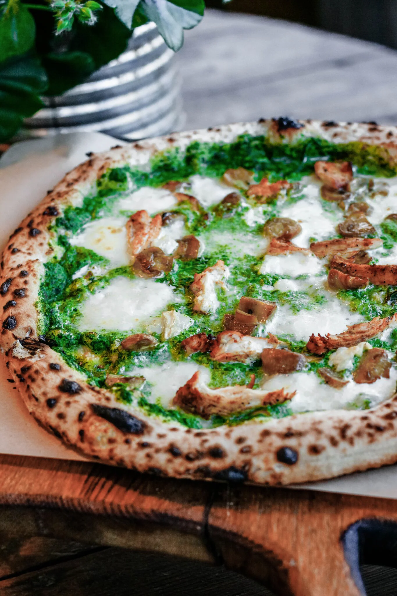 Pizza Verde 9€ Fior di latte cheese, ricotta cheese, goat cheese, spinach, grilled chicken, mushrooms Again such a juicy pizza and goat cheese and chicken fitted together very well.