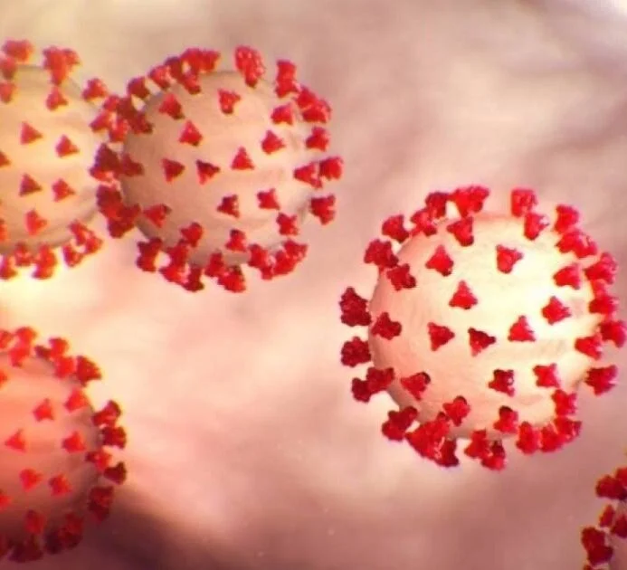 coronavirus_2_1.jpg