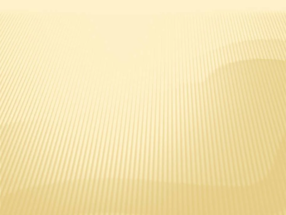 Websit Banner.jpg