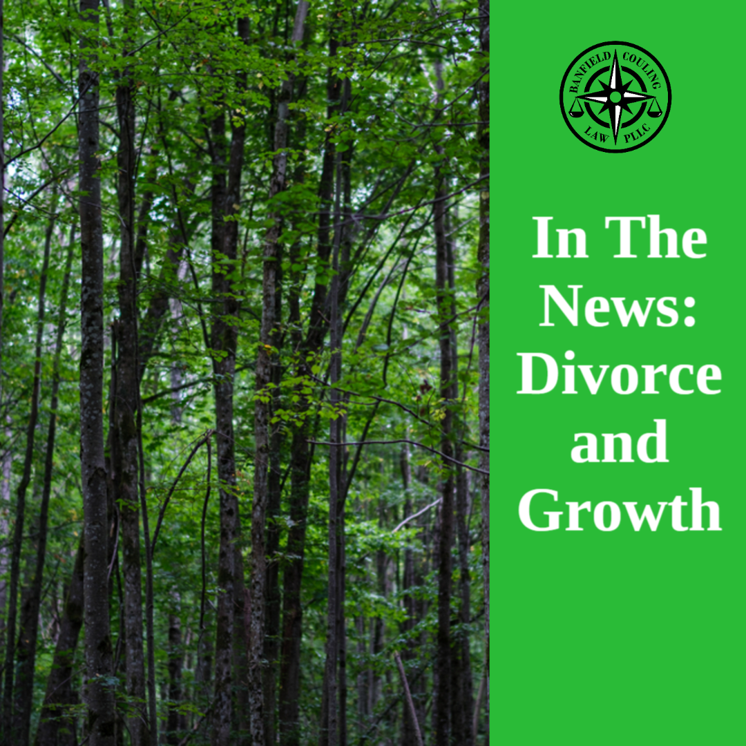 In The News: Divorce and Growth