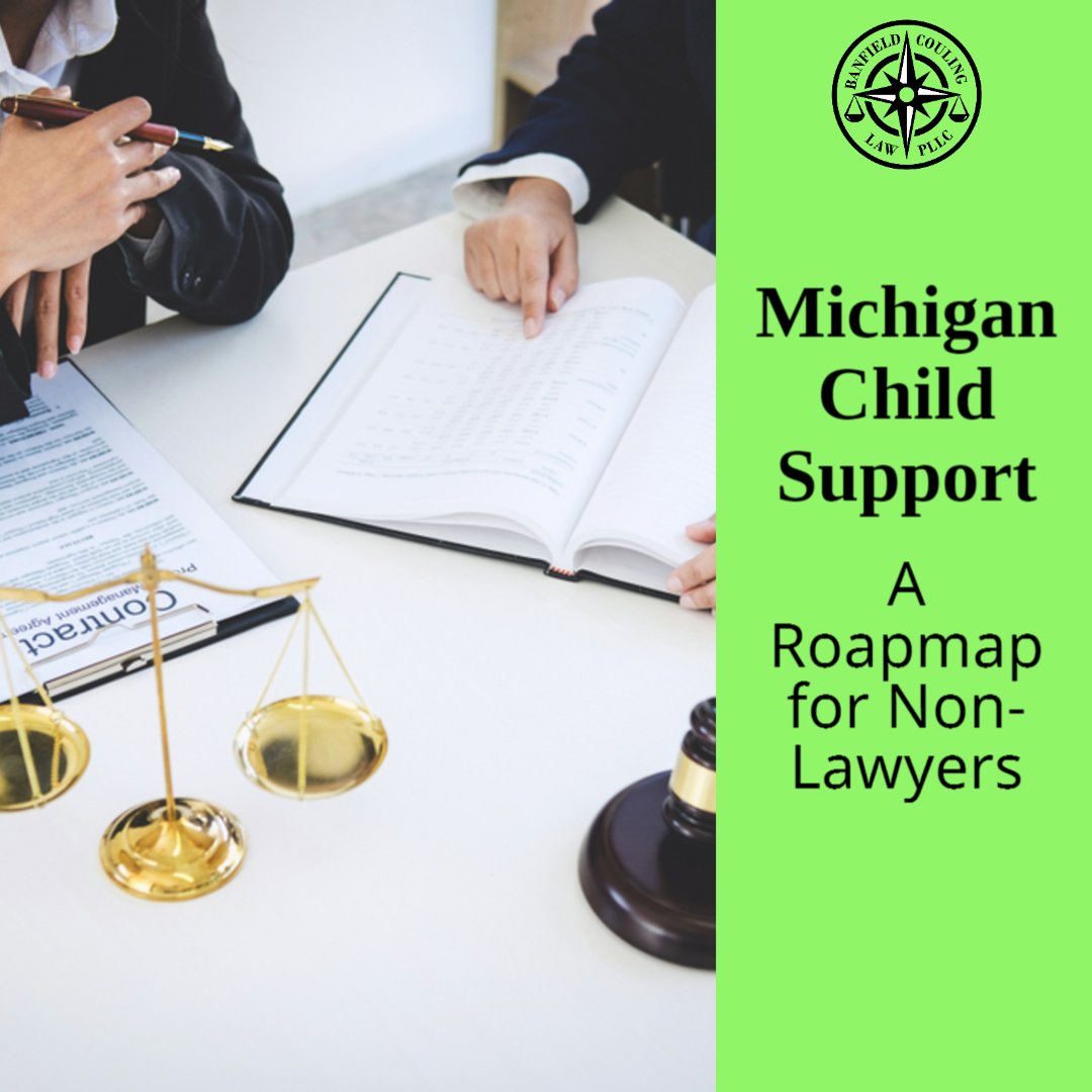 MICHIGAN CHILD SUPPORT: A Roadmap for Non-Lawyers