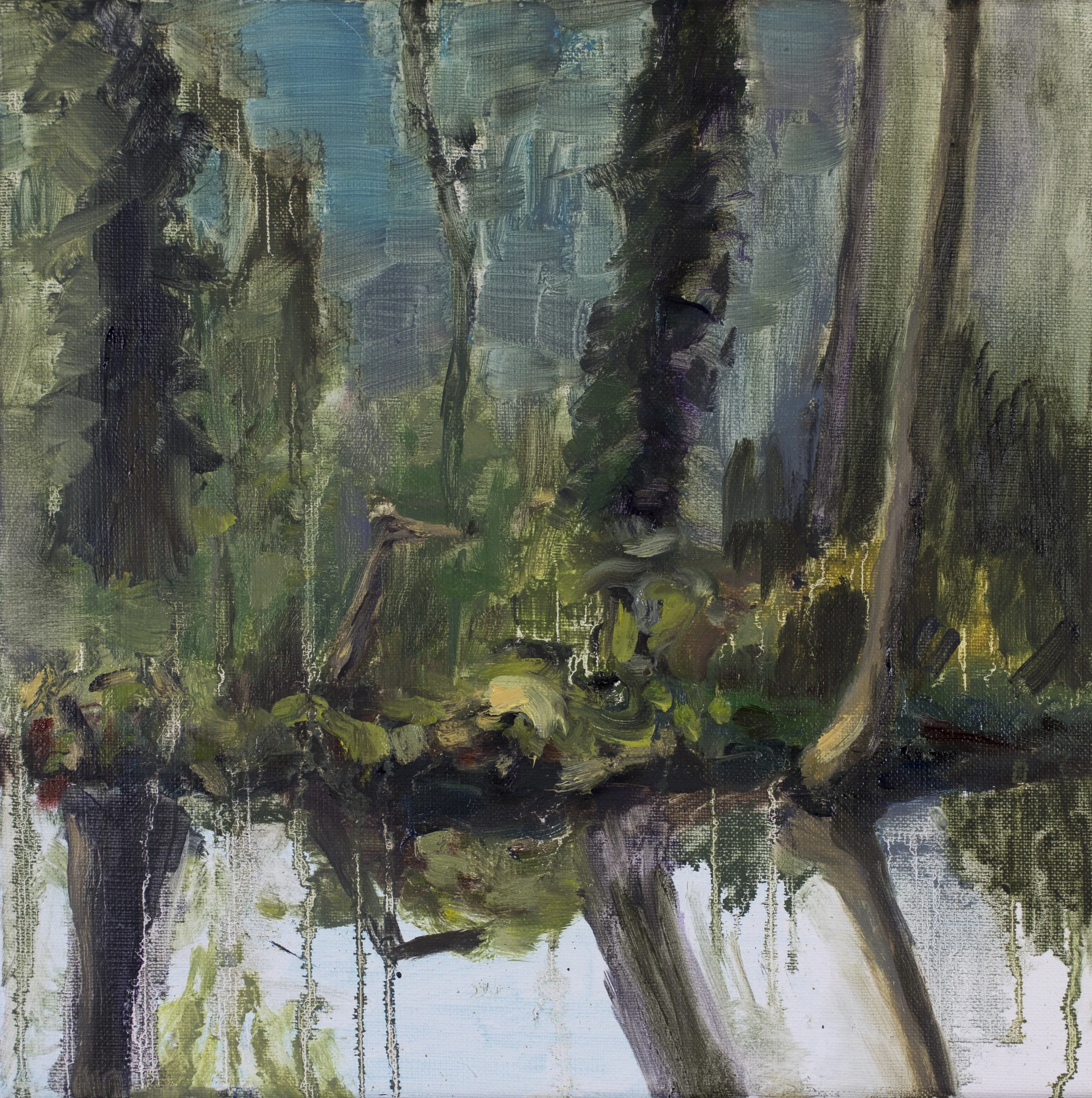 "Morning in the Vondelpark" - Nov 2015
