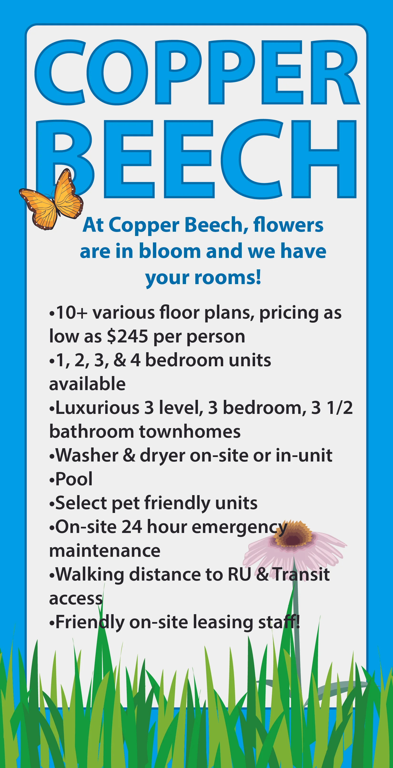 CopperBeech_Spring-01.jpg