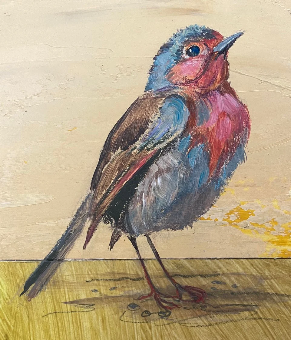 European Robin, 7h x 6w, acrylic & pencil
