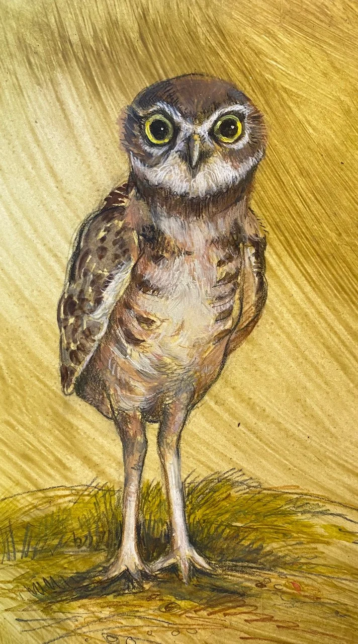 Little Owl, 11h x 7w, acrylic & pencil