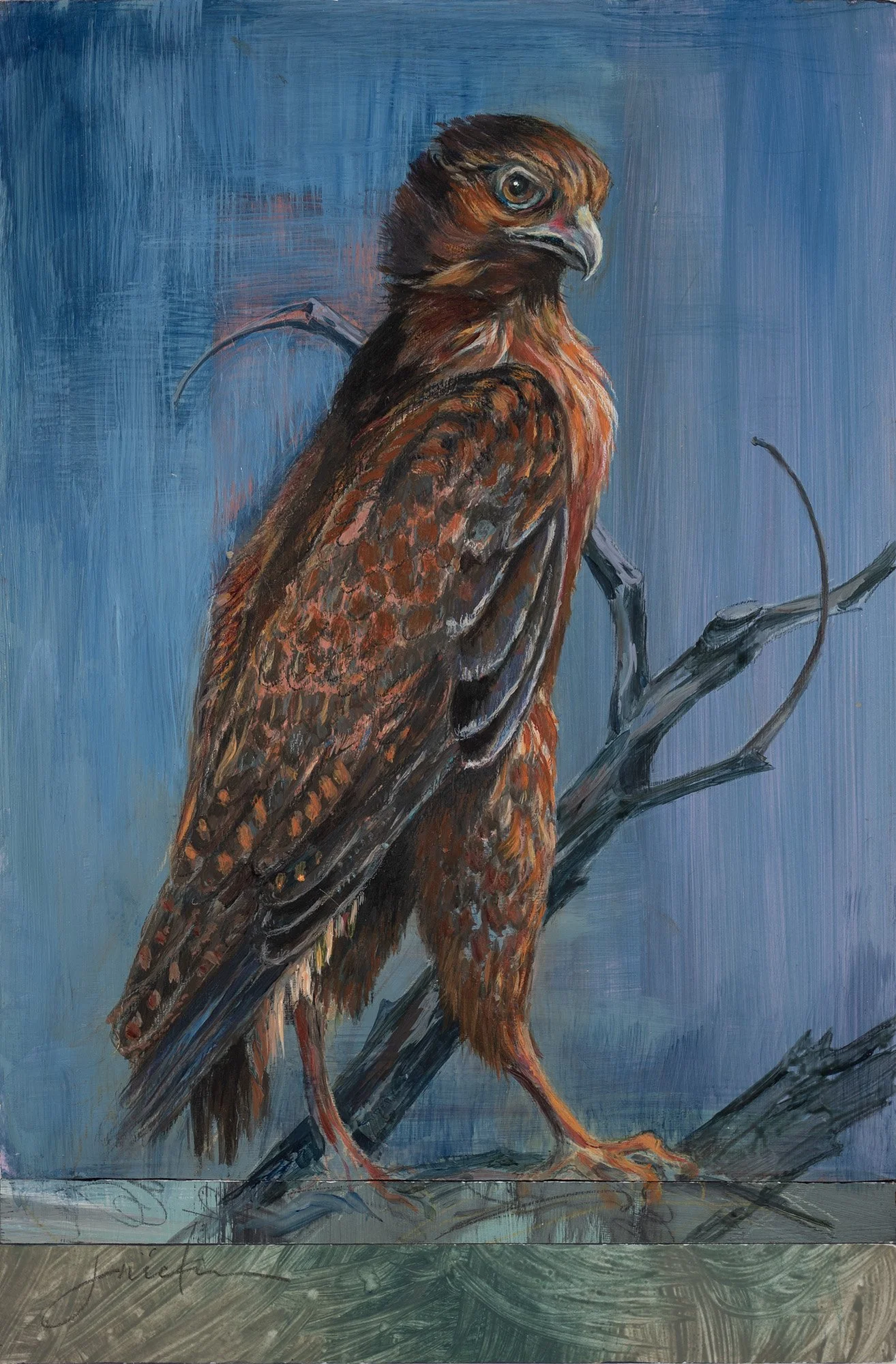   Raptor   20h x 15w  acrylic  