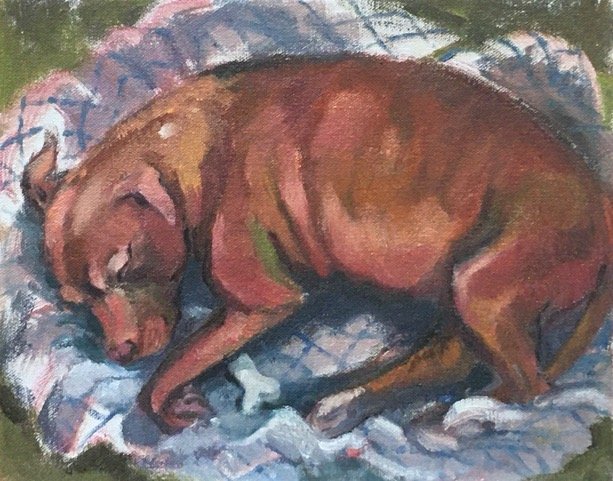   Sleeping Pup,  8×10, oil on board 