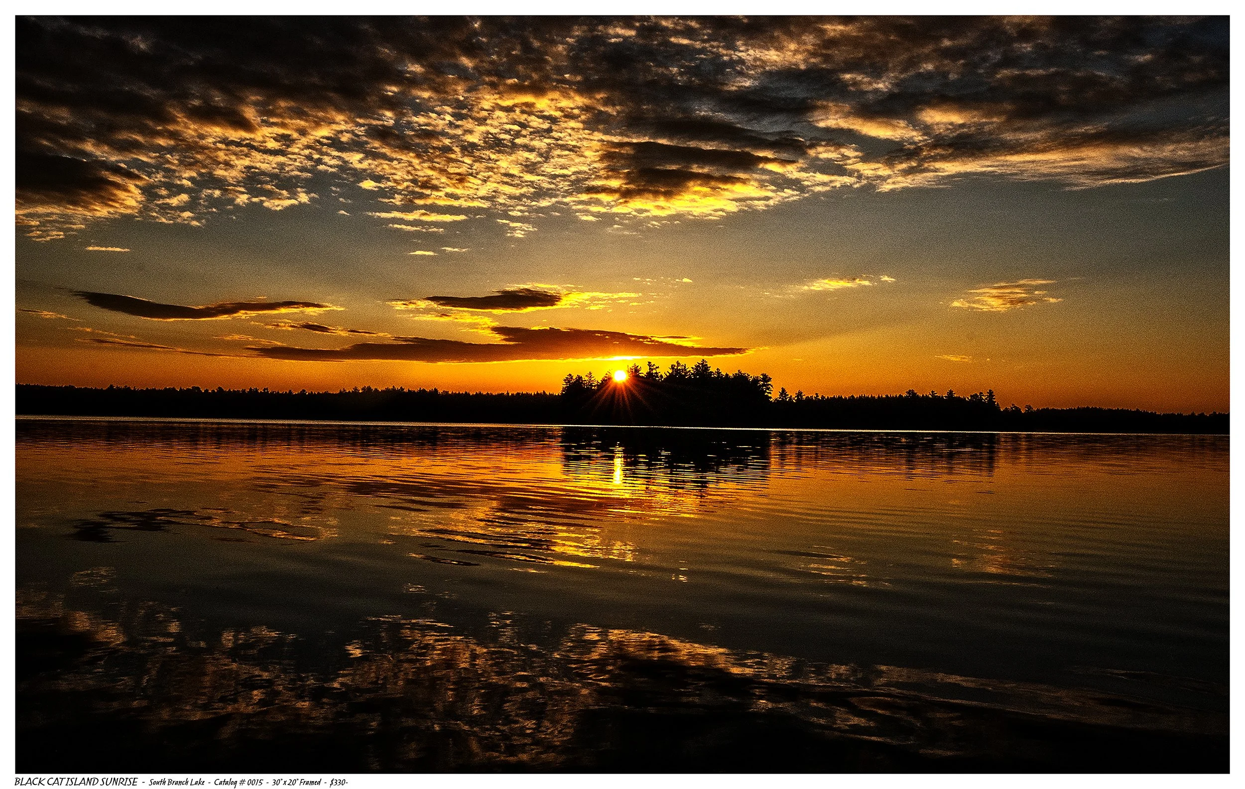 0015 - BLACK CAT MORNING - UPLOAD TITLE BLOCK.jpg