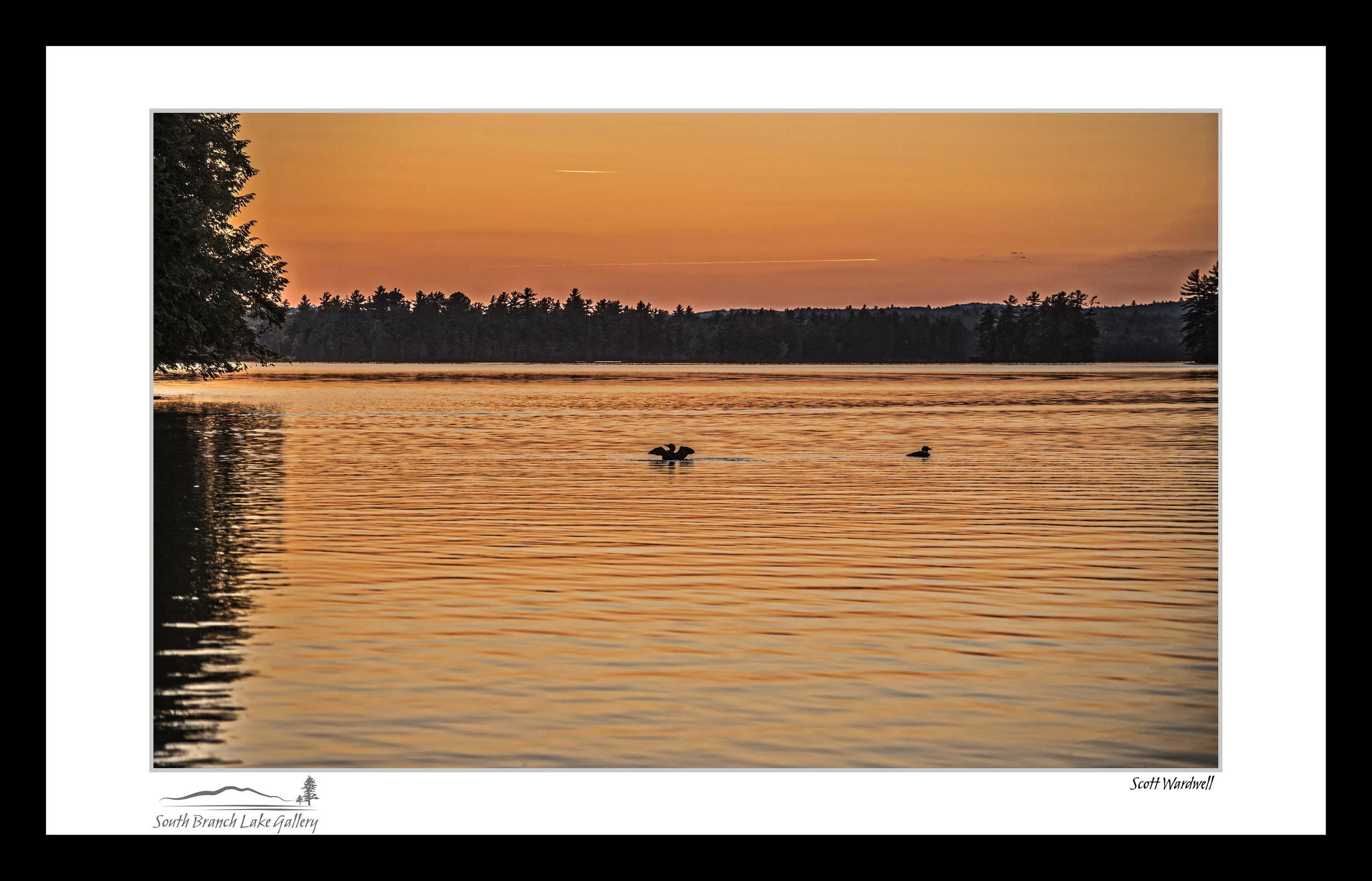 TWO LOONS AT DUSK
