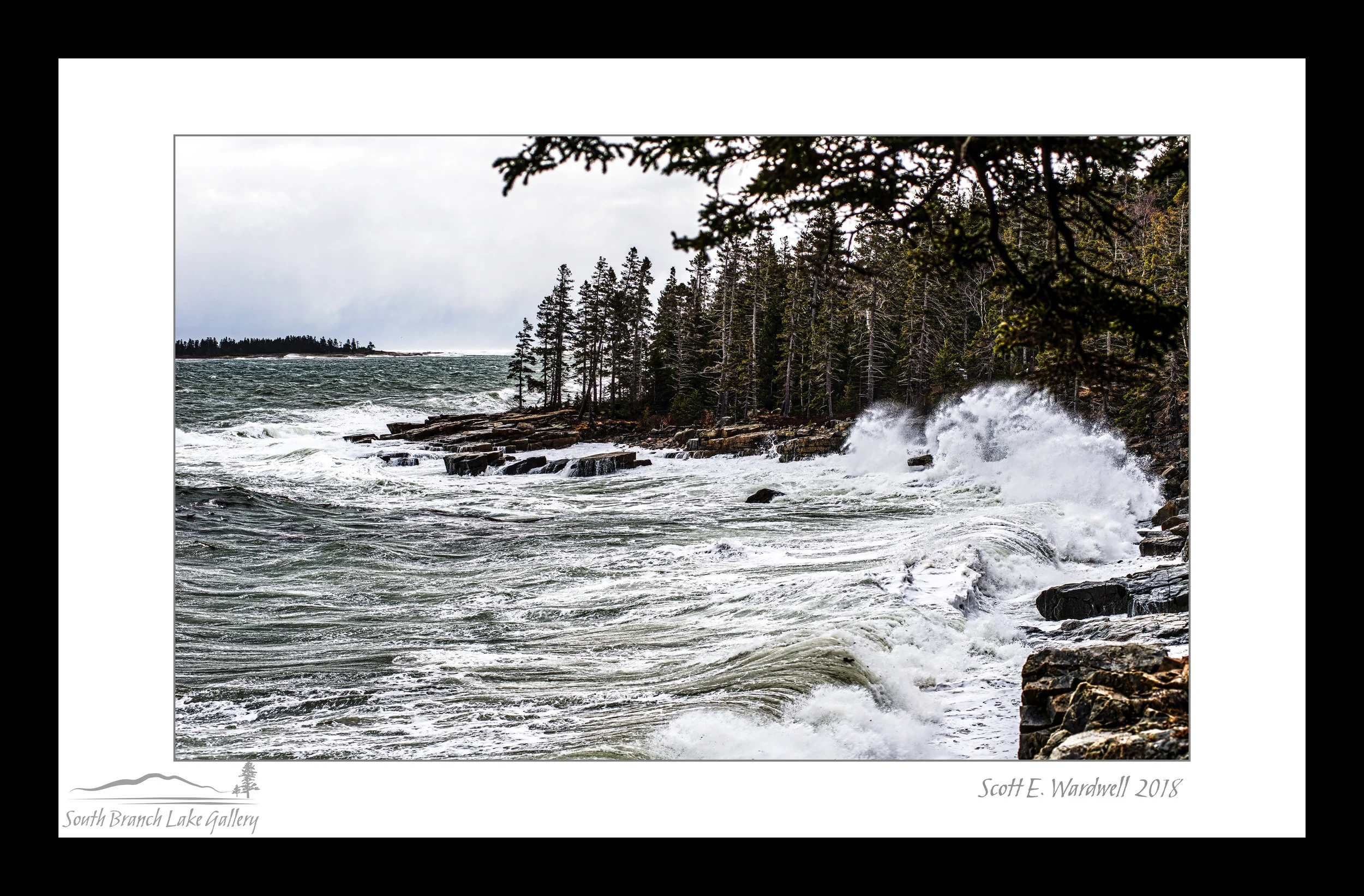 SCHOODIC STORM SURGE