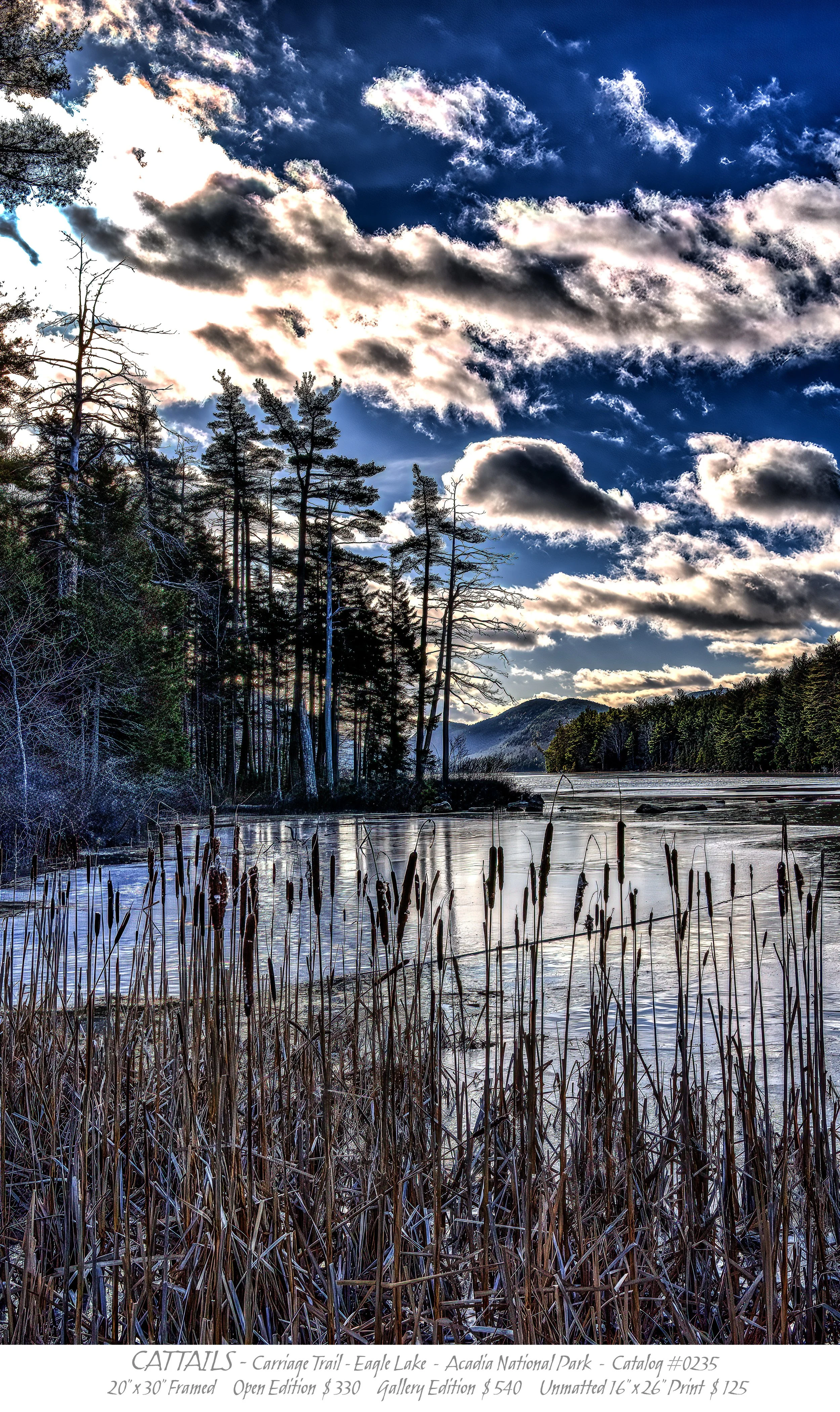 0235 - CATTAILS EAGLE LAKE - TITLE BLOCK.jpg