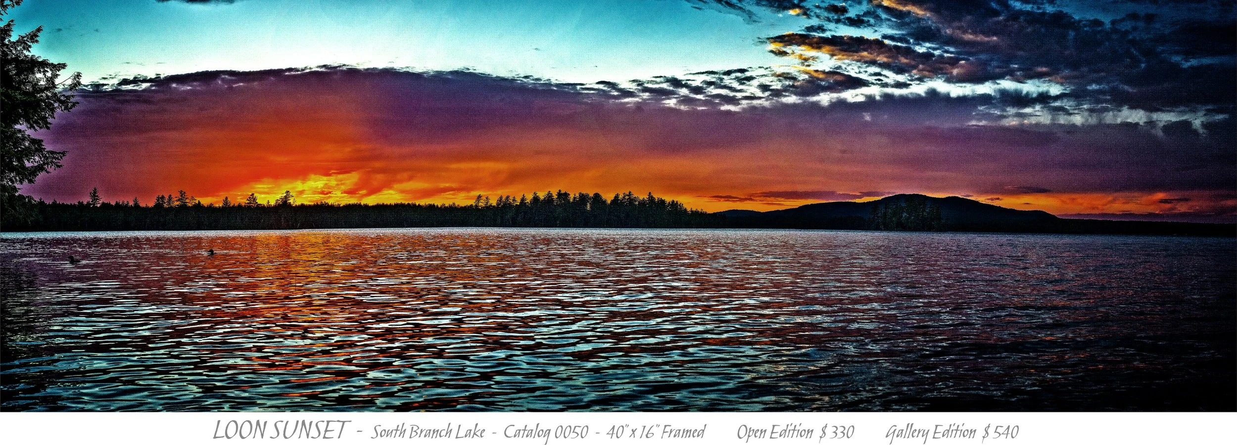0050- LOON SUNSET - TITLE BLOCK.jpg