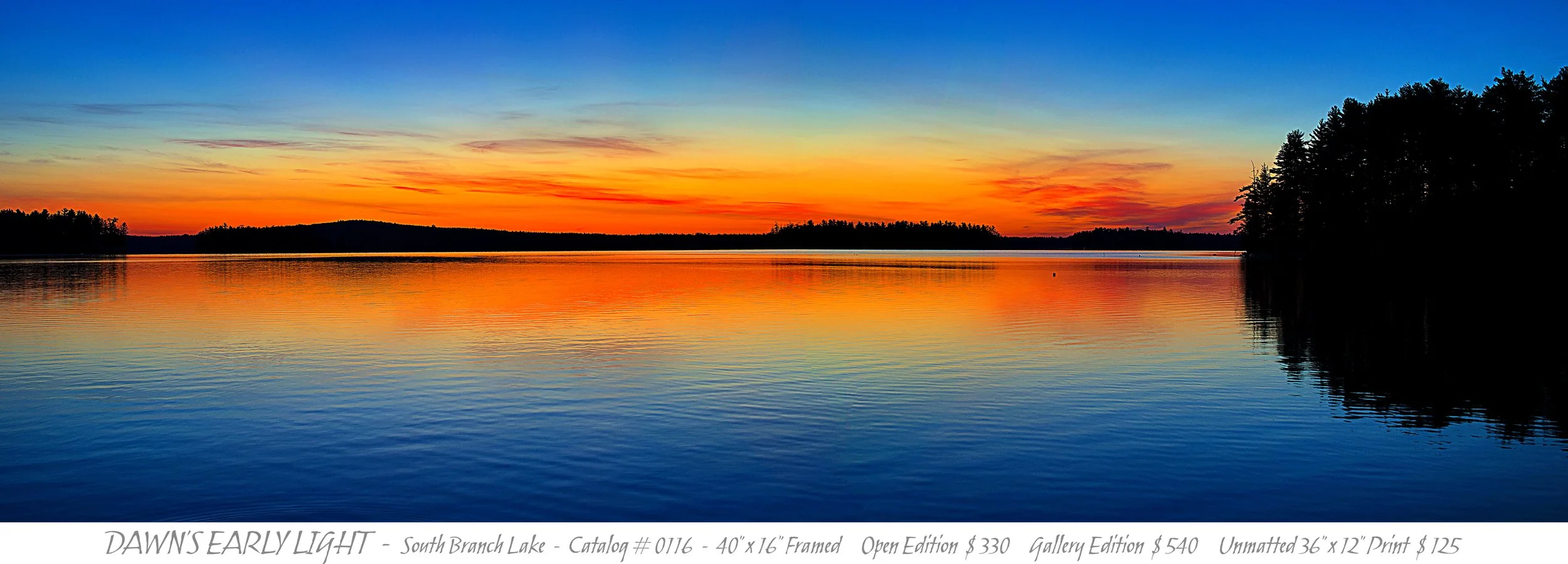 0116 - DAWNS EARLY LIGHT - TITLE BLOCK.jpg