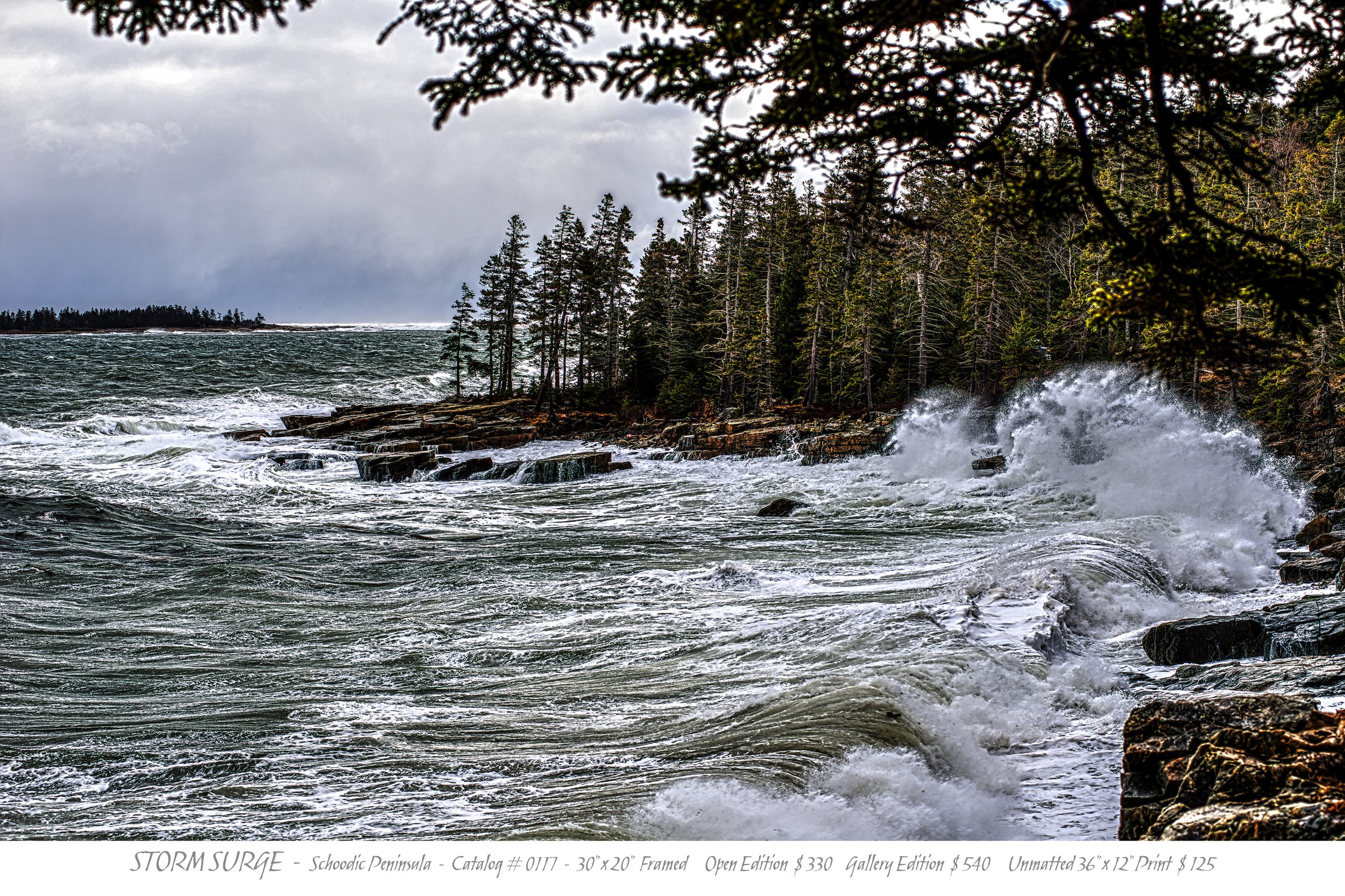 0117 - SCHOODIC STORM SURGE - TITLE BLOCK.jpg