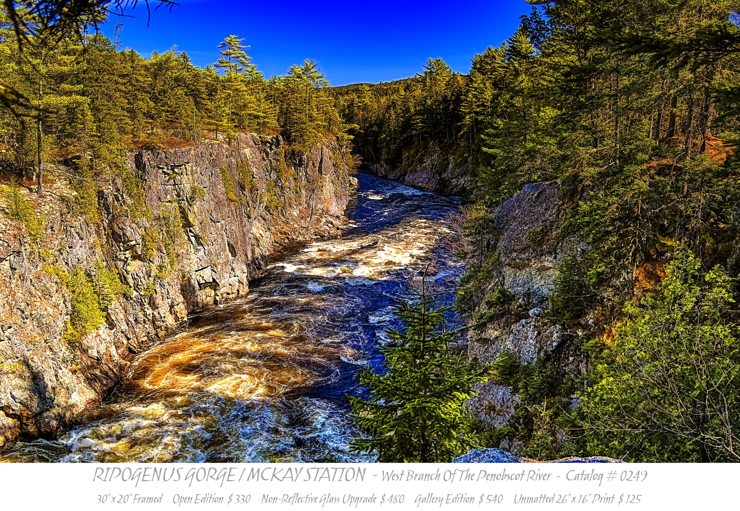 0249 - RIPOGENUS GORGE - TITLE BLOCK.jpg