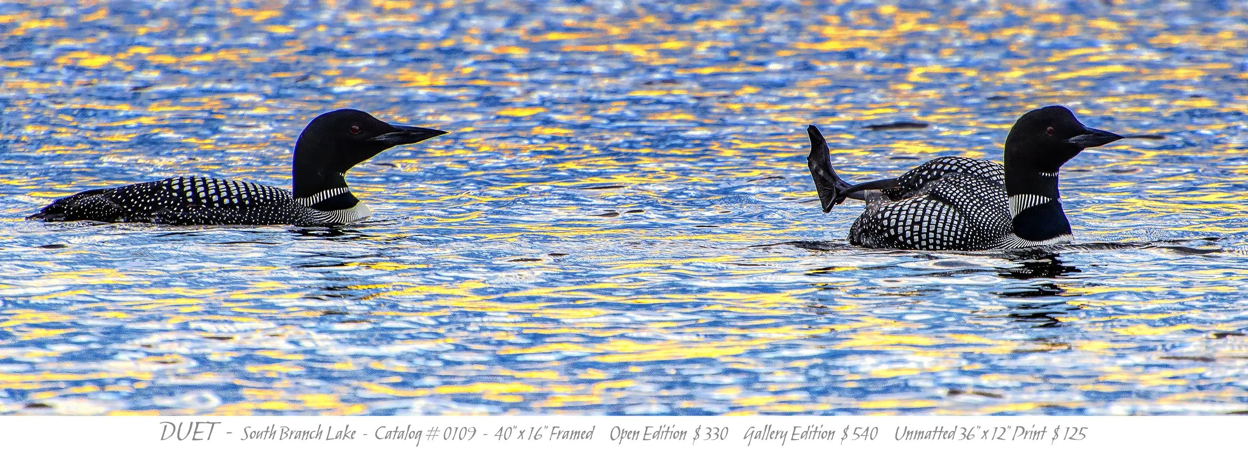 0109 - DUET - TITLE BLOCK.jpg