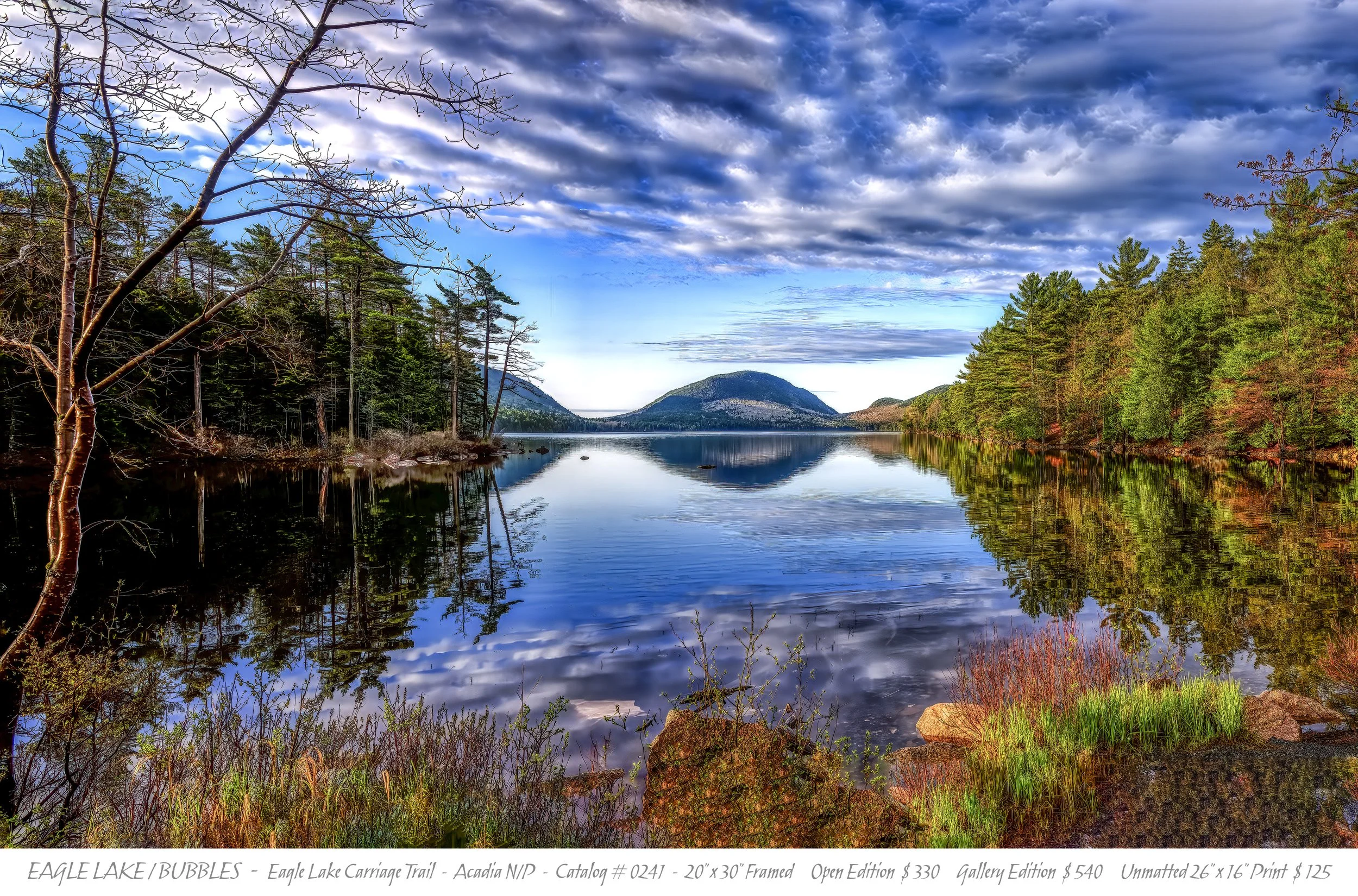 0241 - EAGLE LAKE BUBBLES -  TITLE BLOCK.jpg